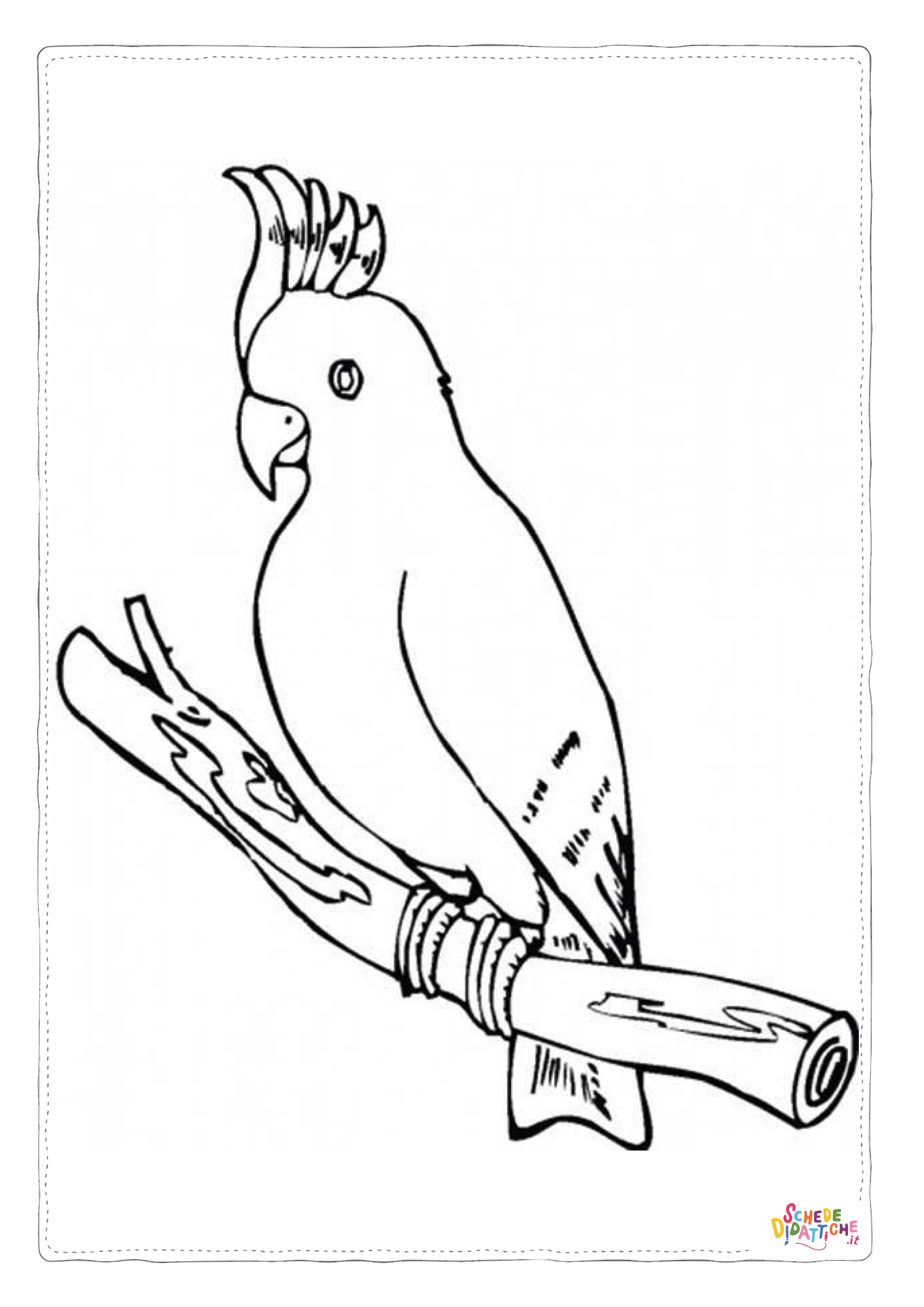 Disegno "Disegno di pappagallo da stampare e colorare 34" Disegno di pappagallo da stampare e colorare 34