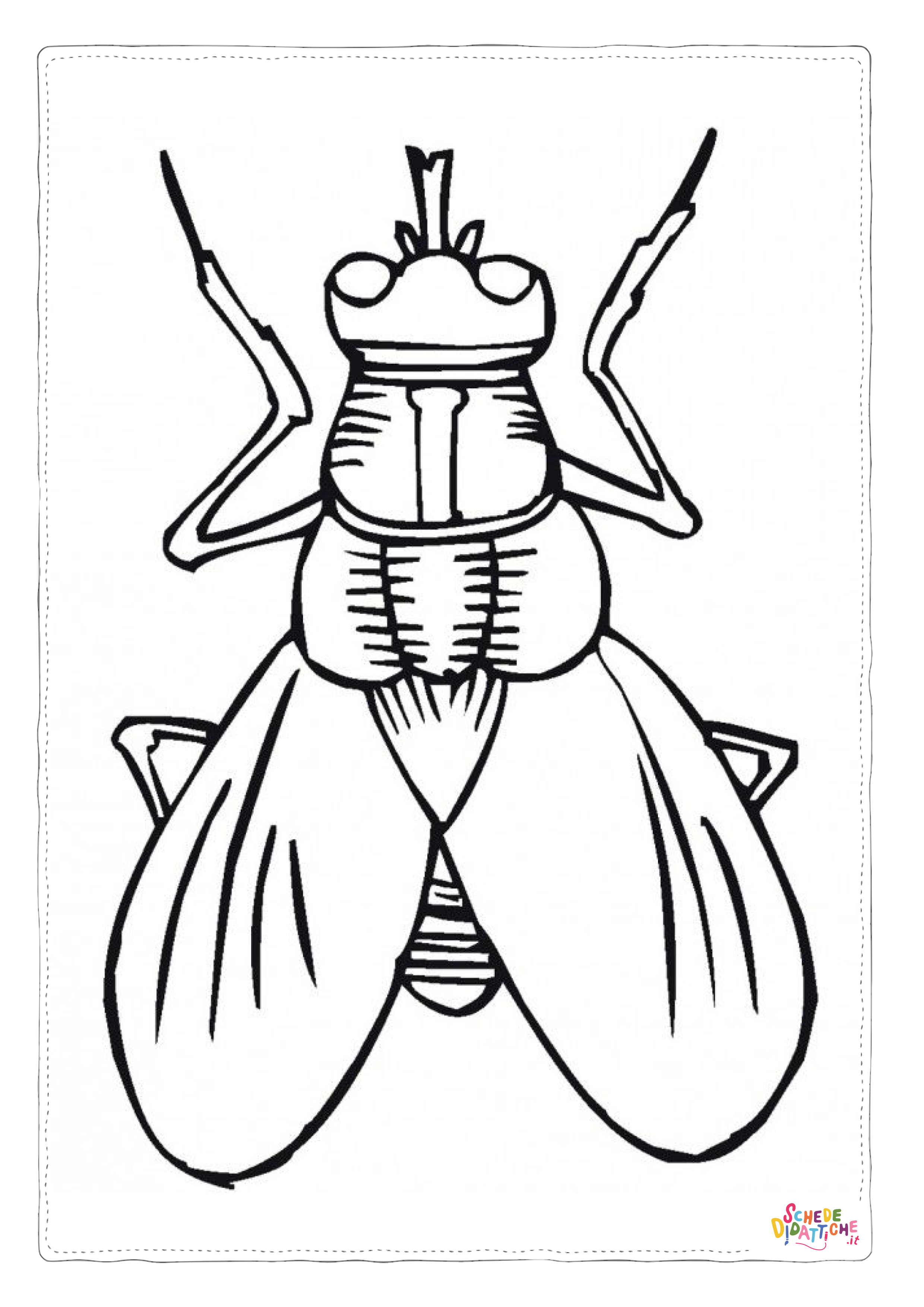 Disegno "Disegno di mosca domestica da stampare e colorare 1" Disegno di mosca domestica da stampare e colorare 1