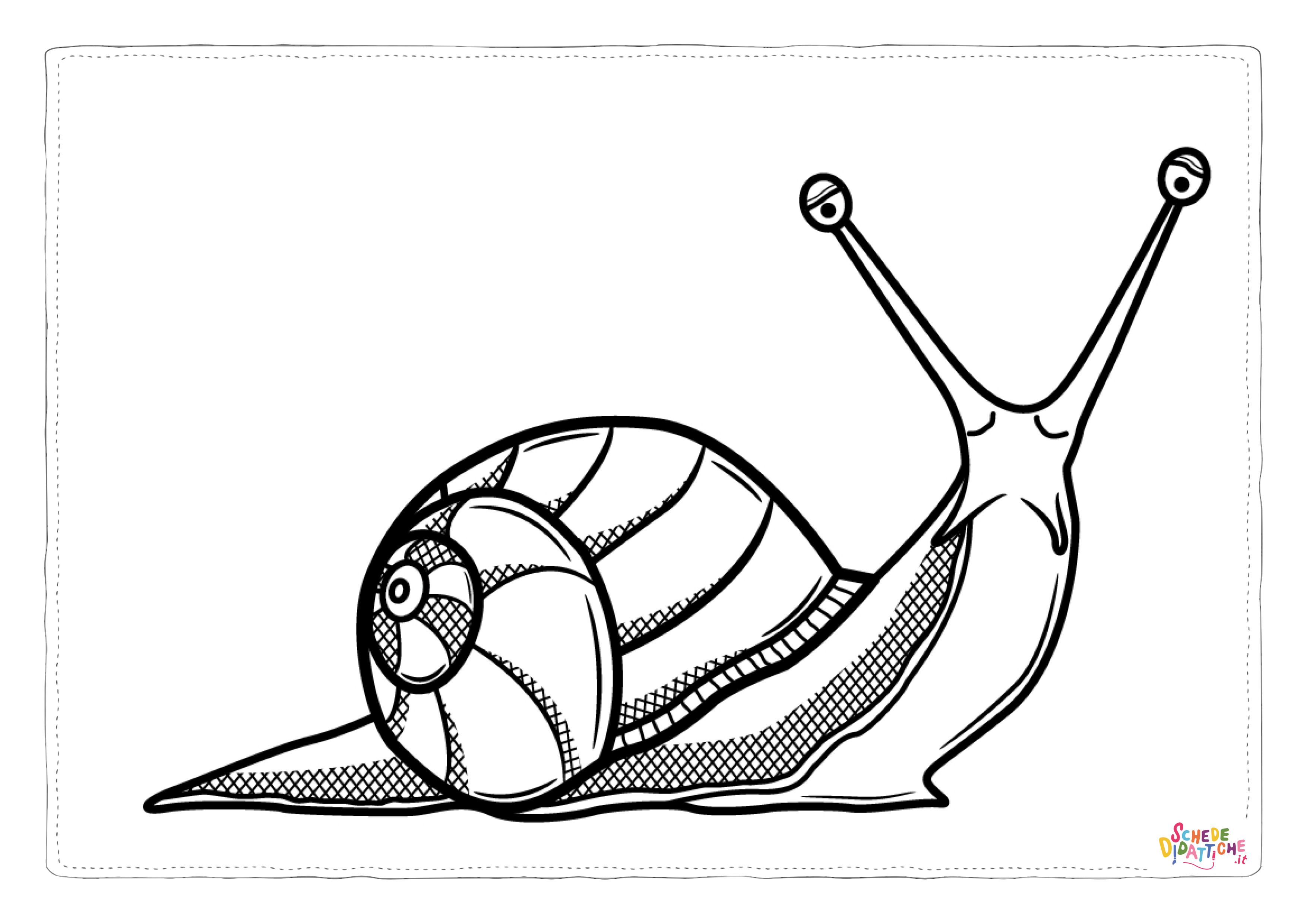 Disegno di lumaca da stampare e colorare 23