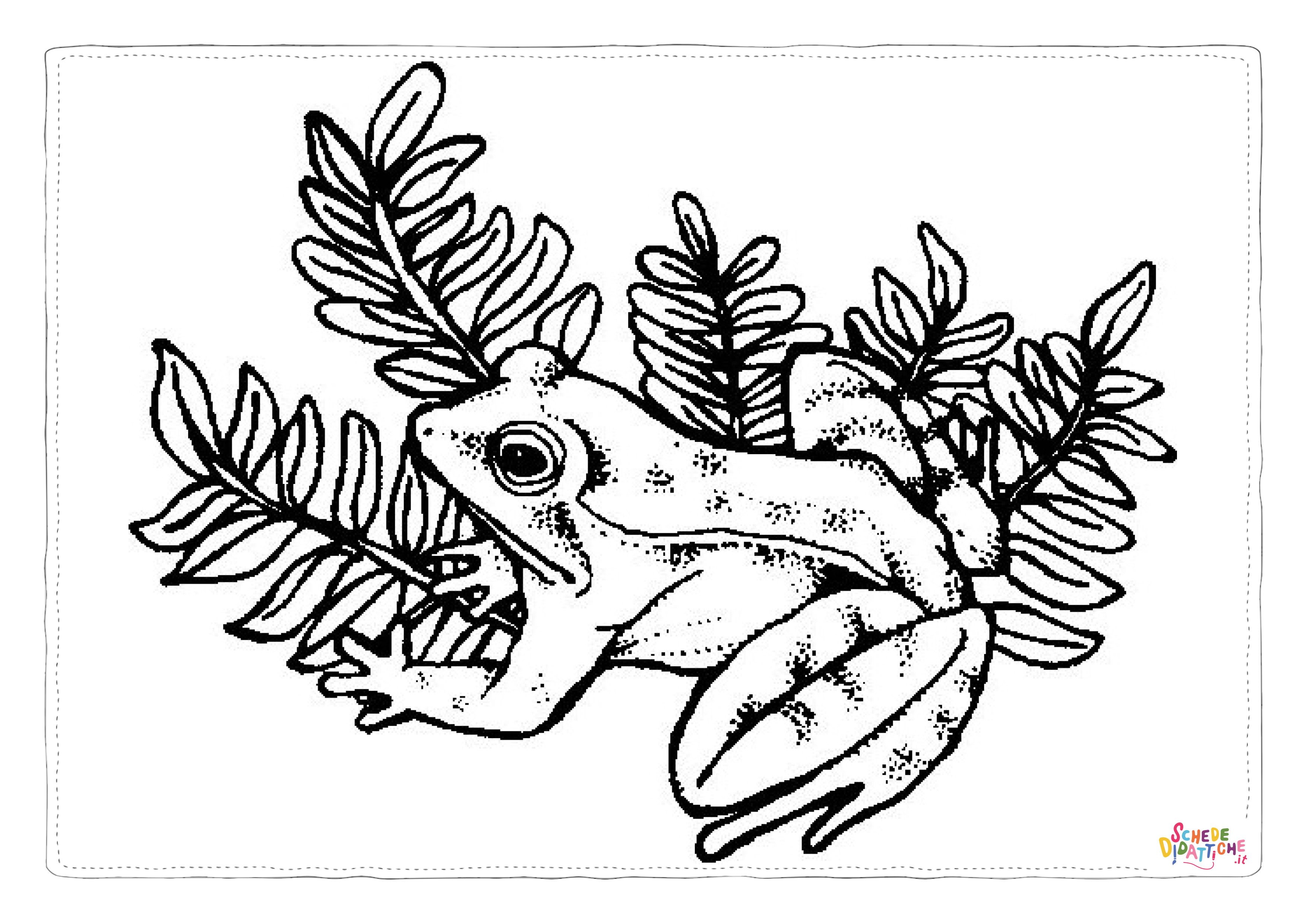 Disegno "Disegno di rana da stampare e colorare 55" Disegno di rana da stampare e colorare 55