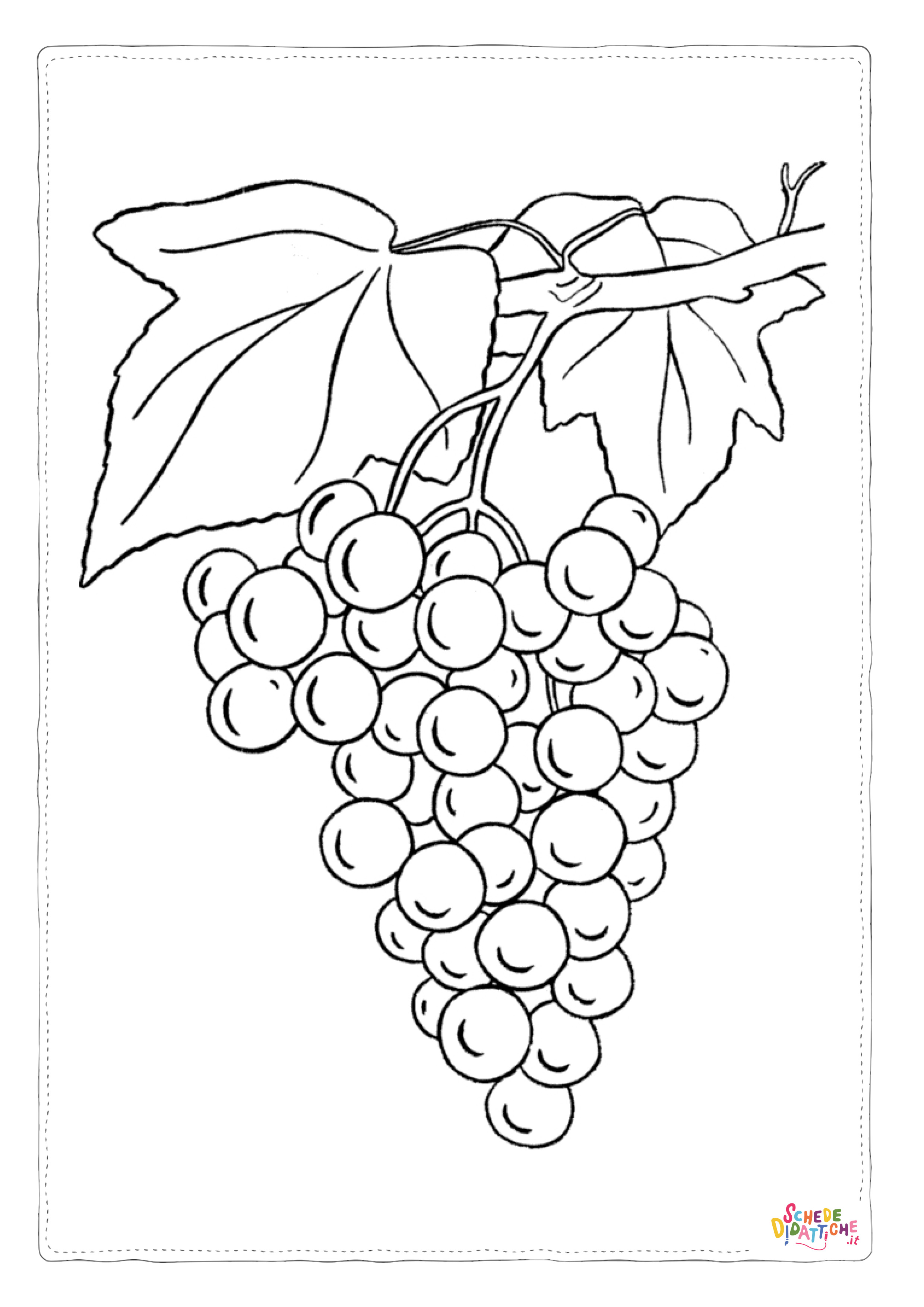 Disegno "Disegno di uva da stampare e colorare 14" Disegno di uva da stampare e colorare 14