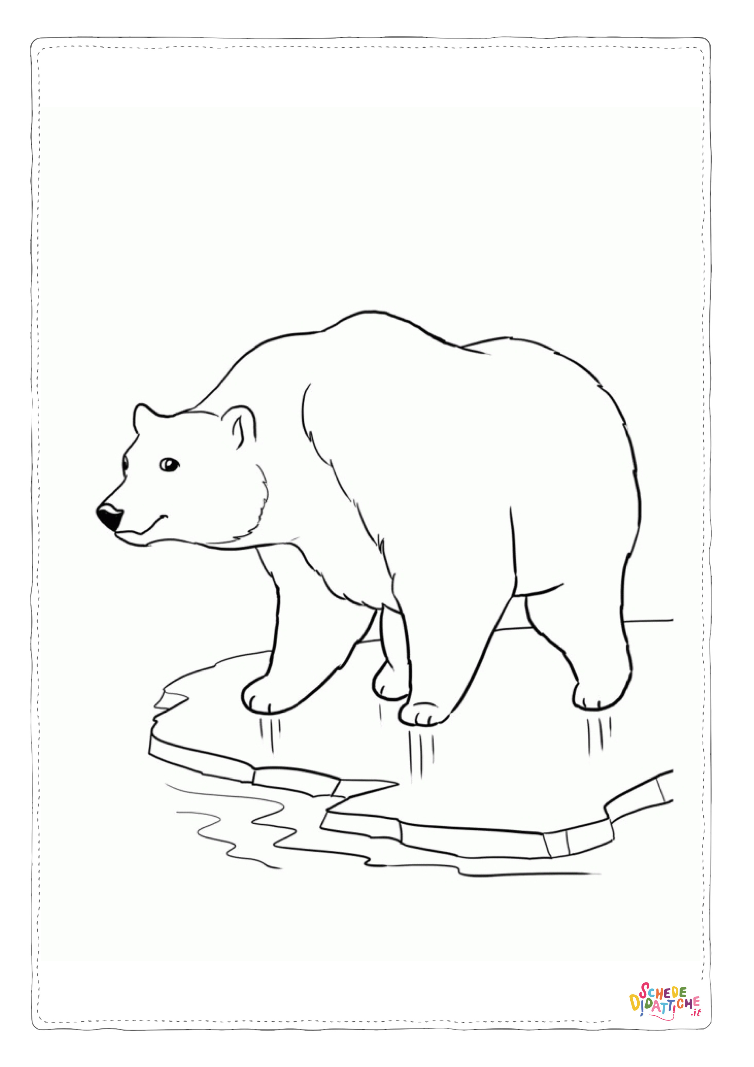 Disegno "Disegno di orso polare da stampare e colorare 4" Disegno di orso polare da stampare e colorare 4
