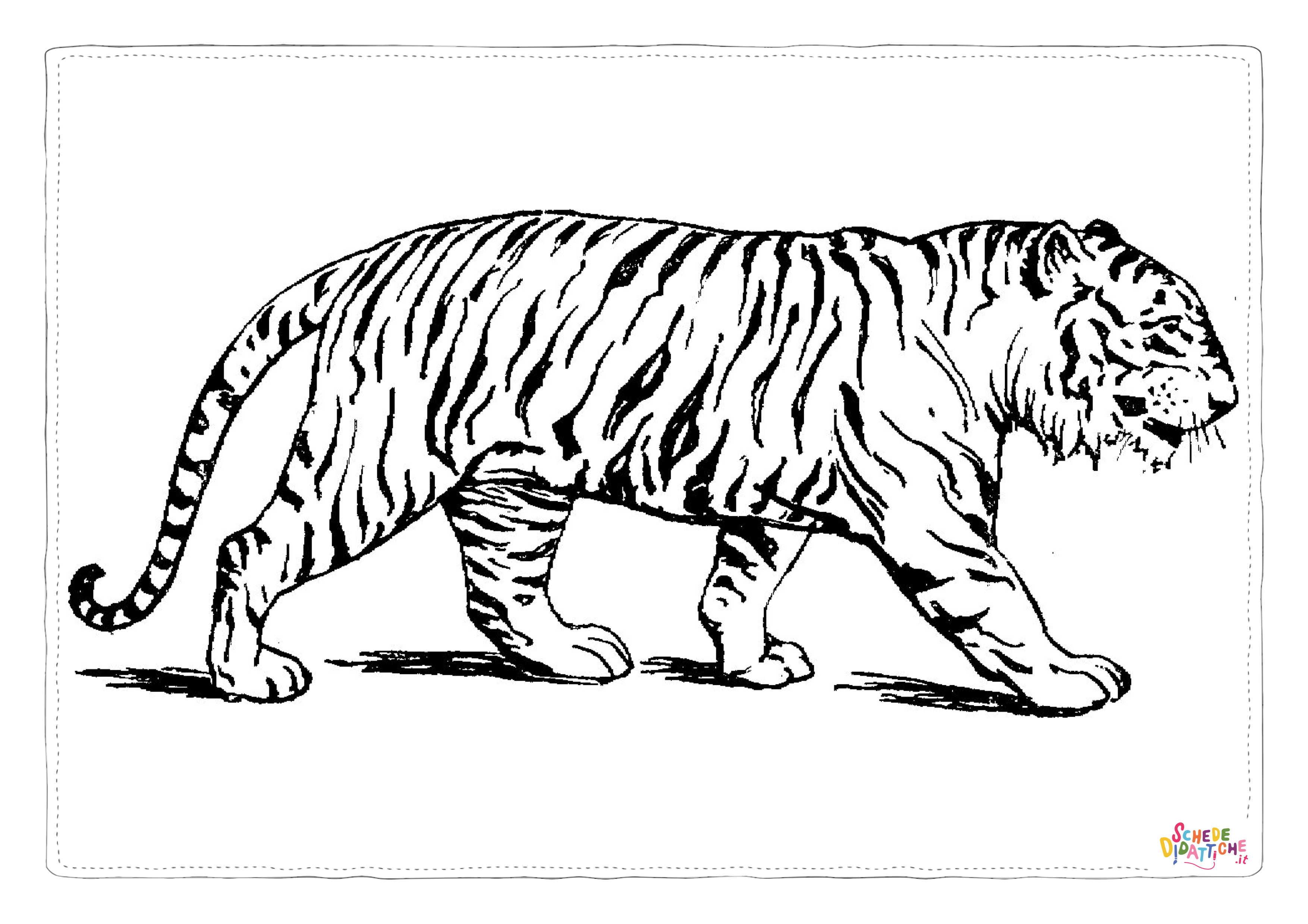 Disegno "Disegno di tigre da stampare e colorare 41" Disegno di tigre da stampare e colorare 41