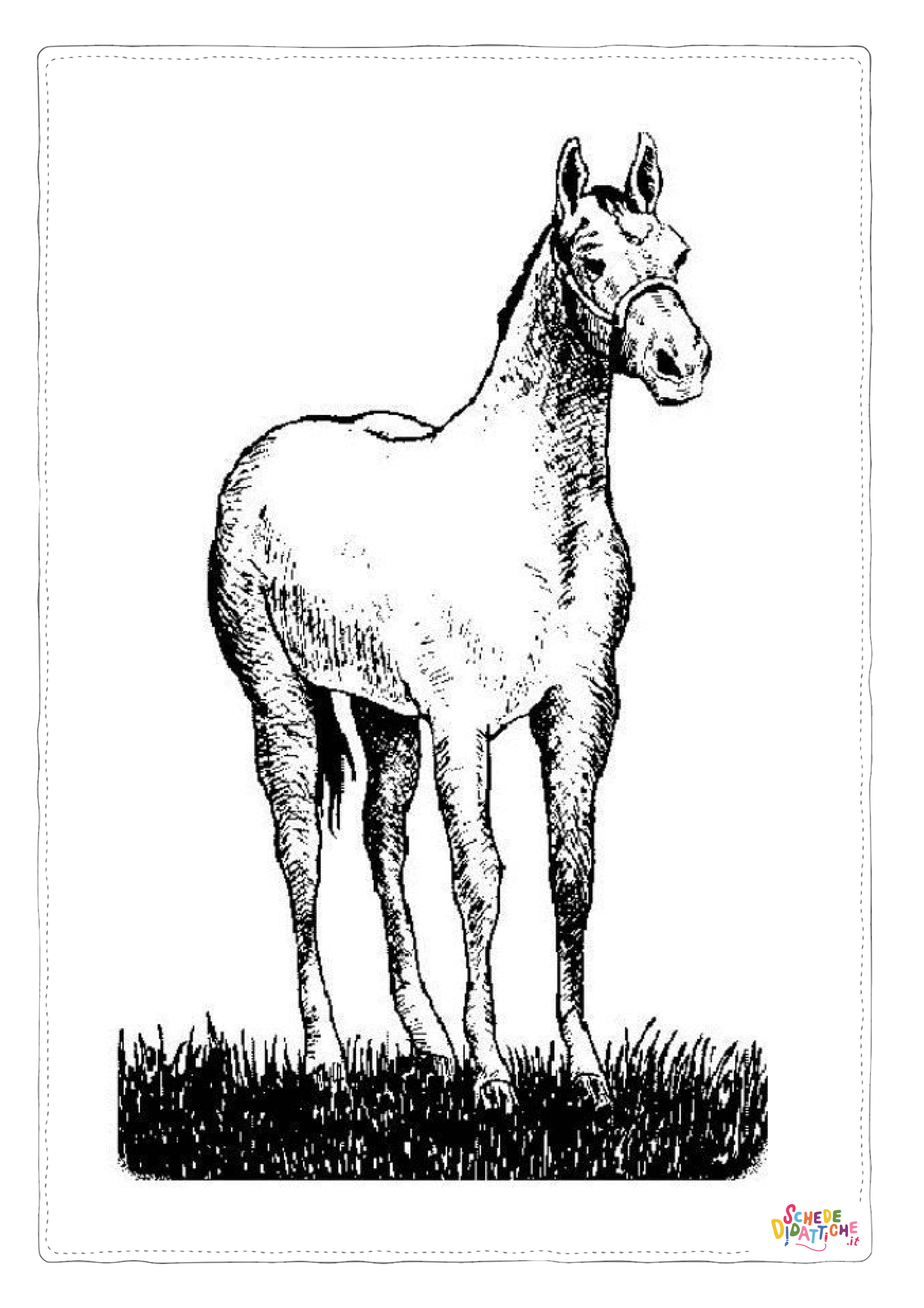Disegno "Disegno di cavallo da stampare e colorare 227" Disegno di cavallo da stampare e colorare 227