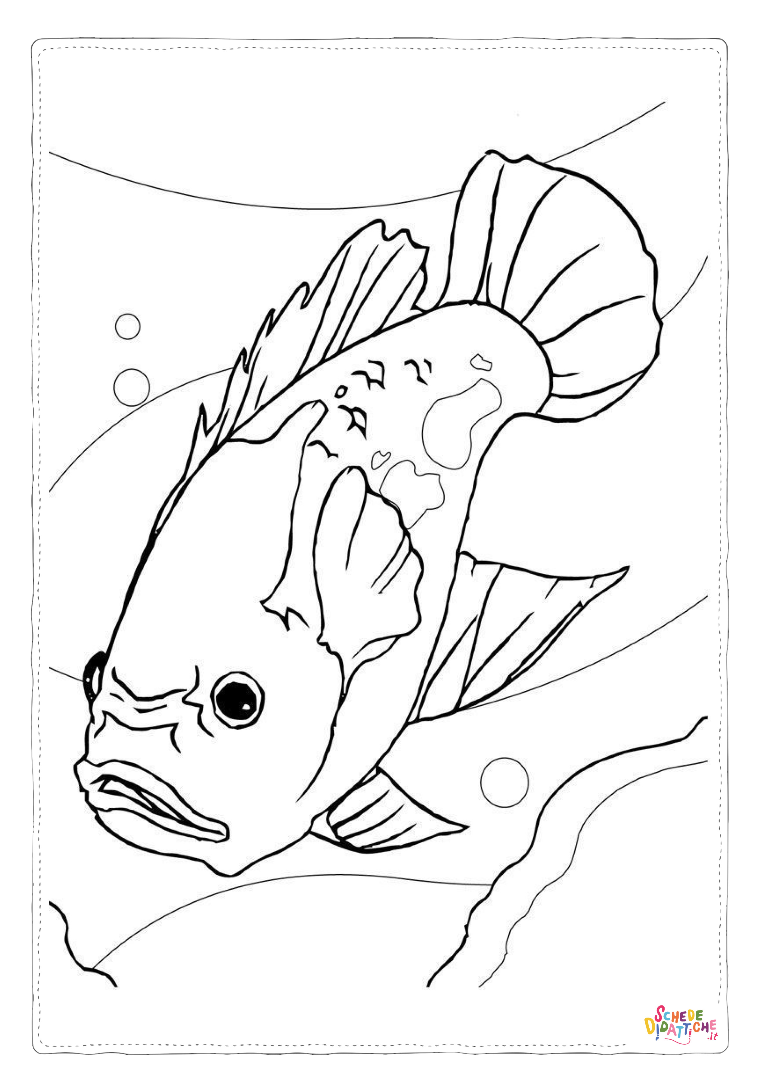 Disegno "Disegno di pesce da stampare e colorare 268" Disegno di pesce da stampare e colorare 268