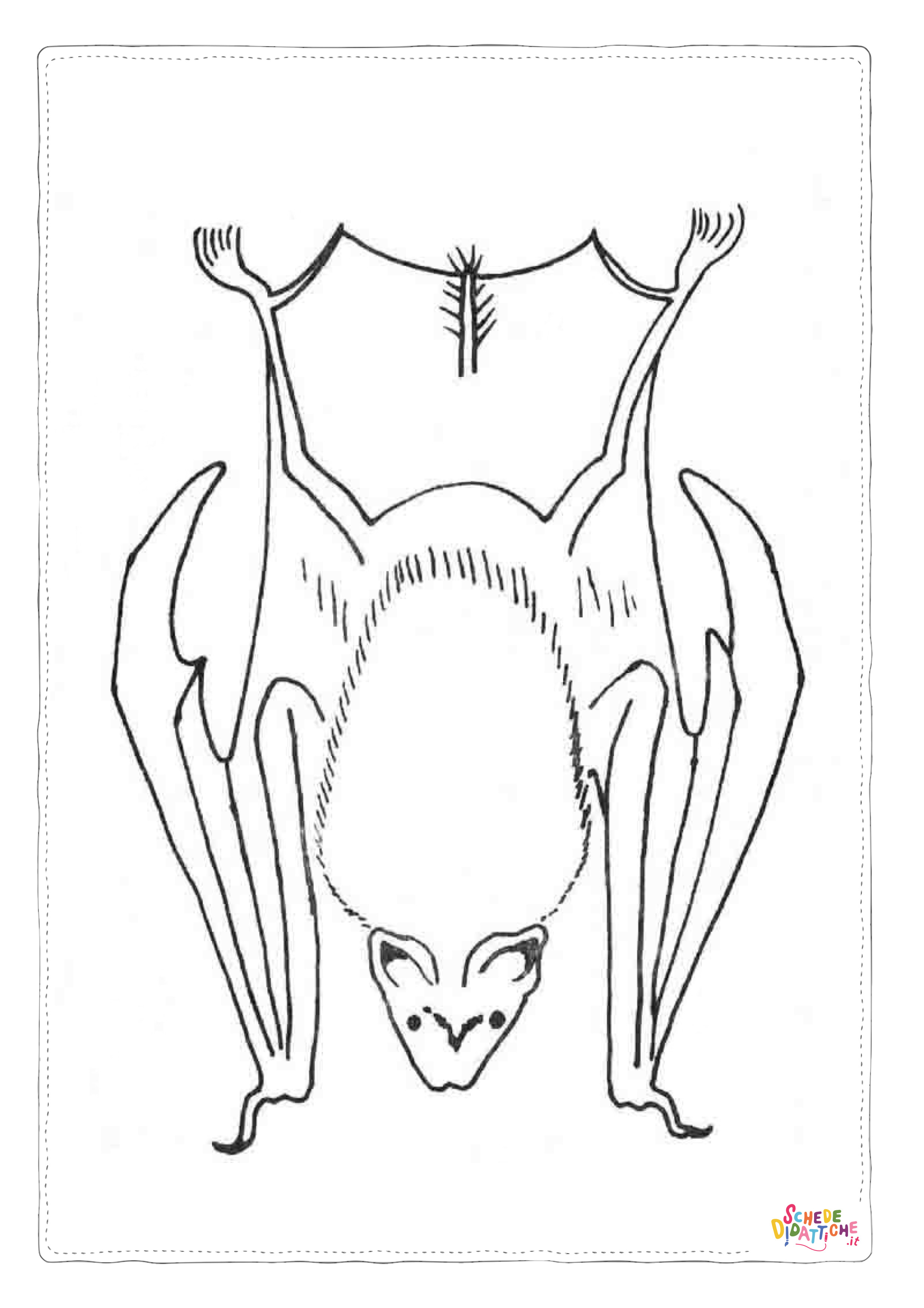 Disegno di pipistrello da stampare e colorare 14
