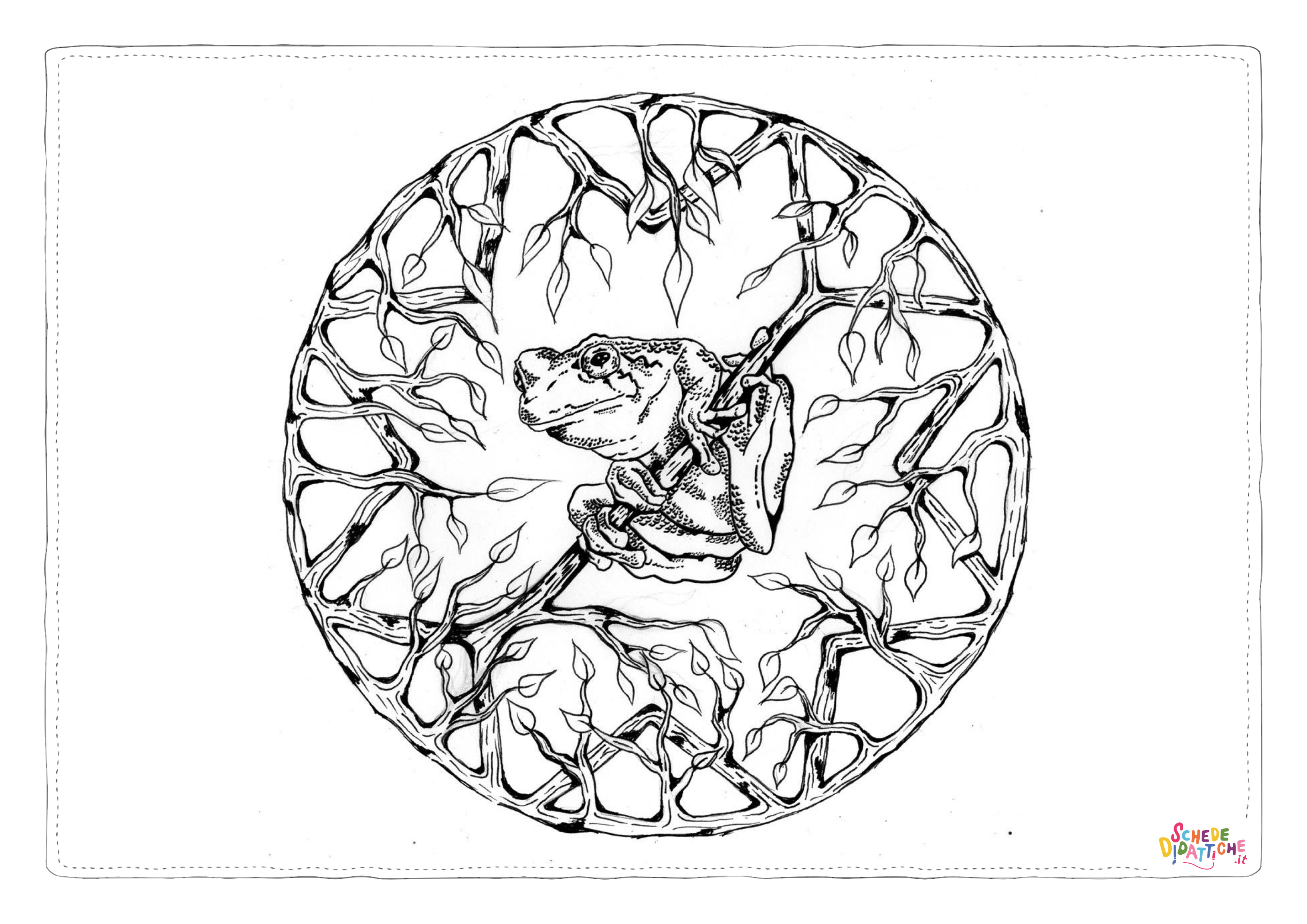 Disegno di rana da stampare e colorare 4