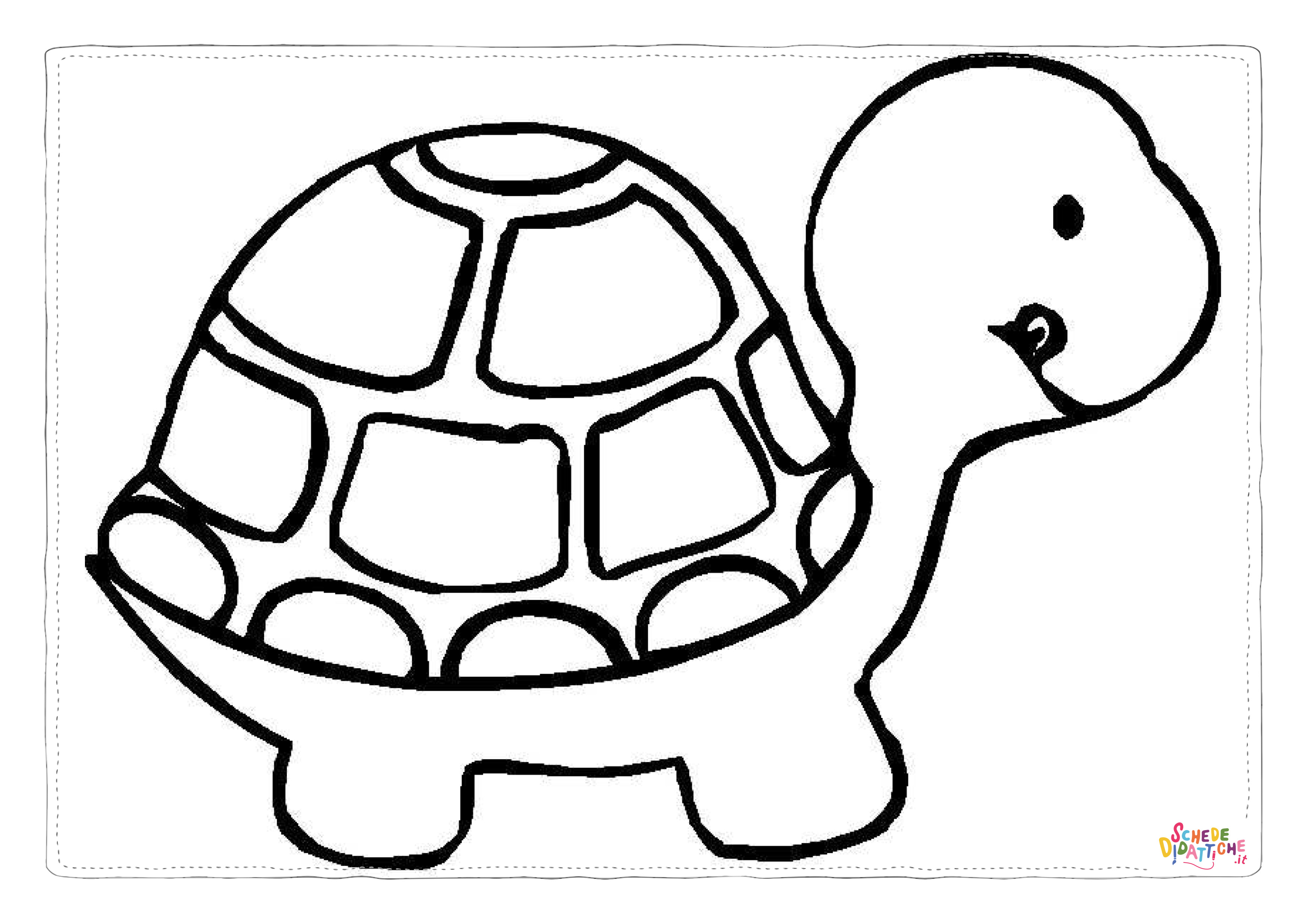 Disegno di tartaruga di terra da stampare e colorare 16