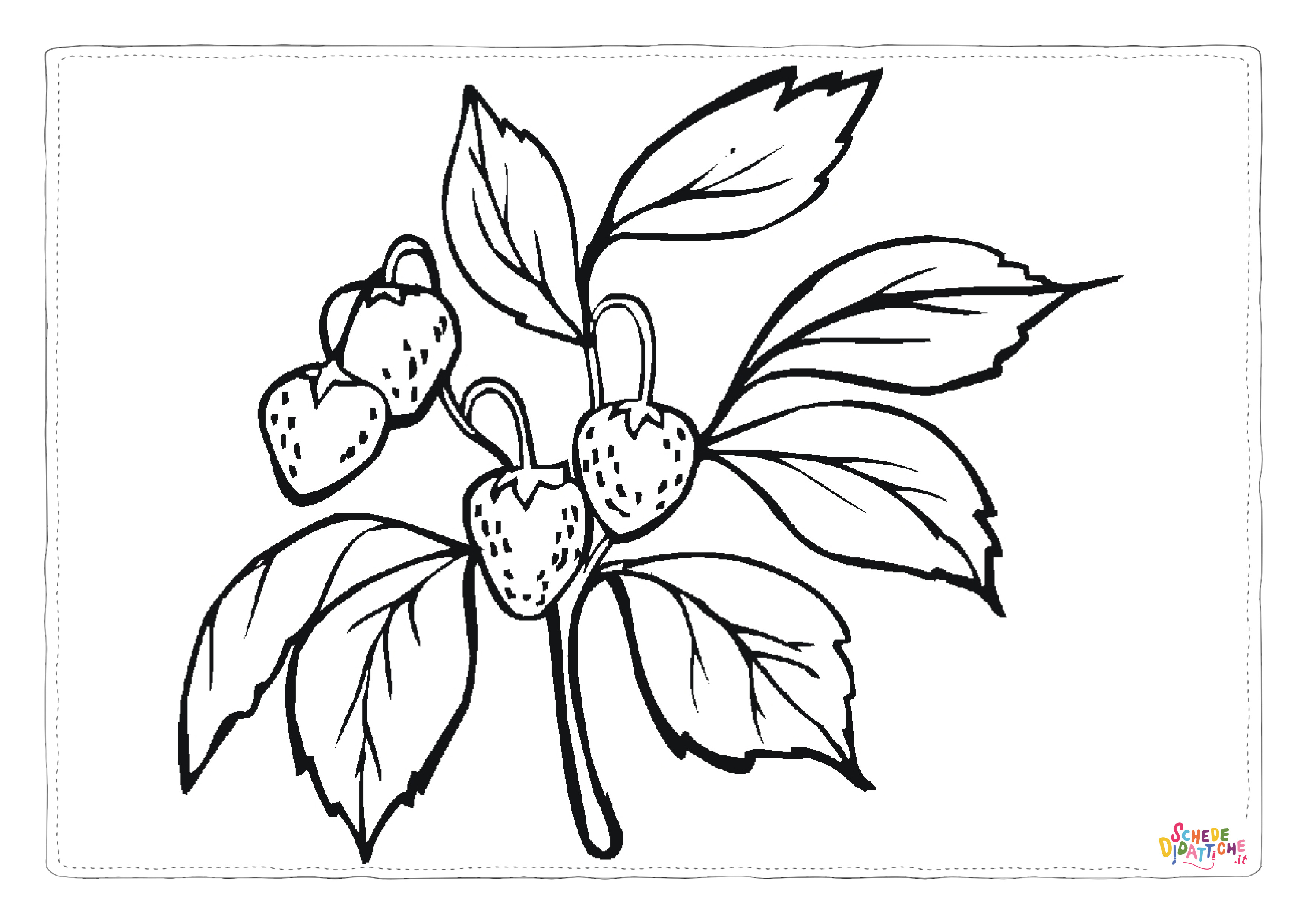Disegno "Disegno di fragola da stampare e colorare 15" Disegno di fragola da stampare e colorare 15