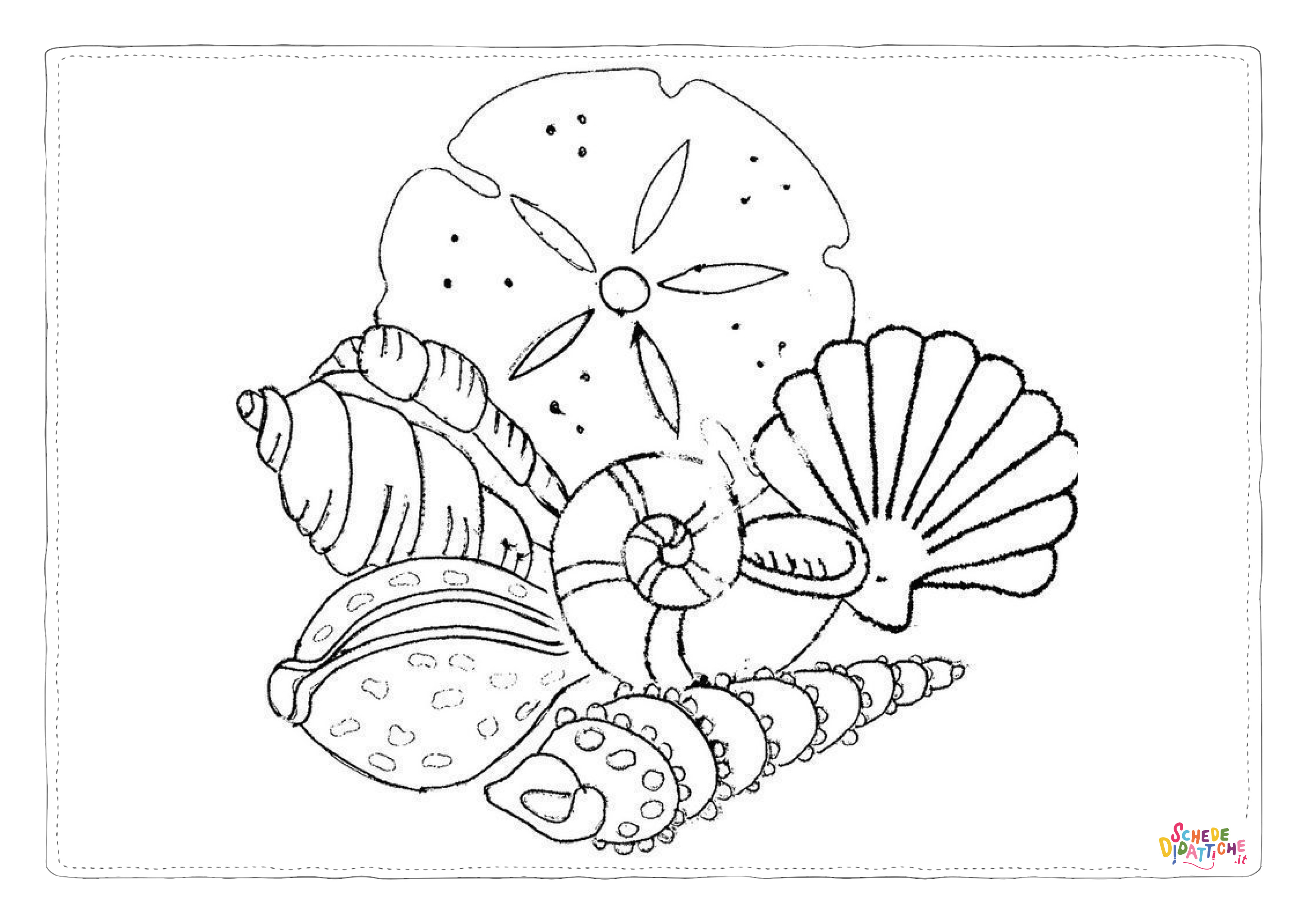 Disegno "Disegno di conchiglia da stampare e colorare 1" Disegno di conchiglia da stampare e colorare 1