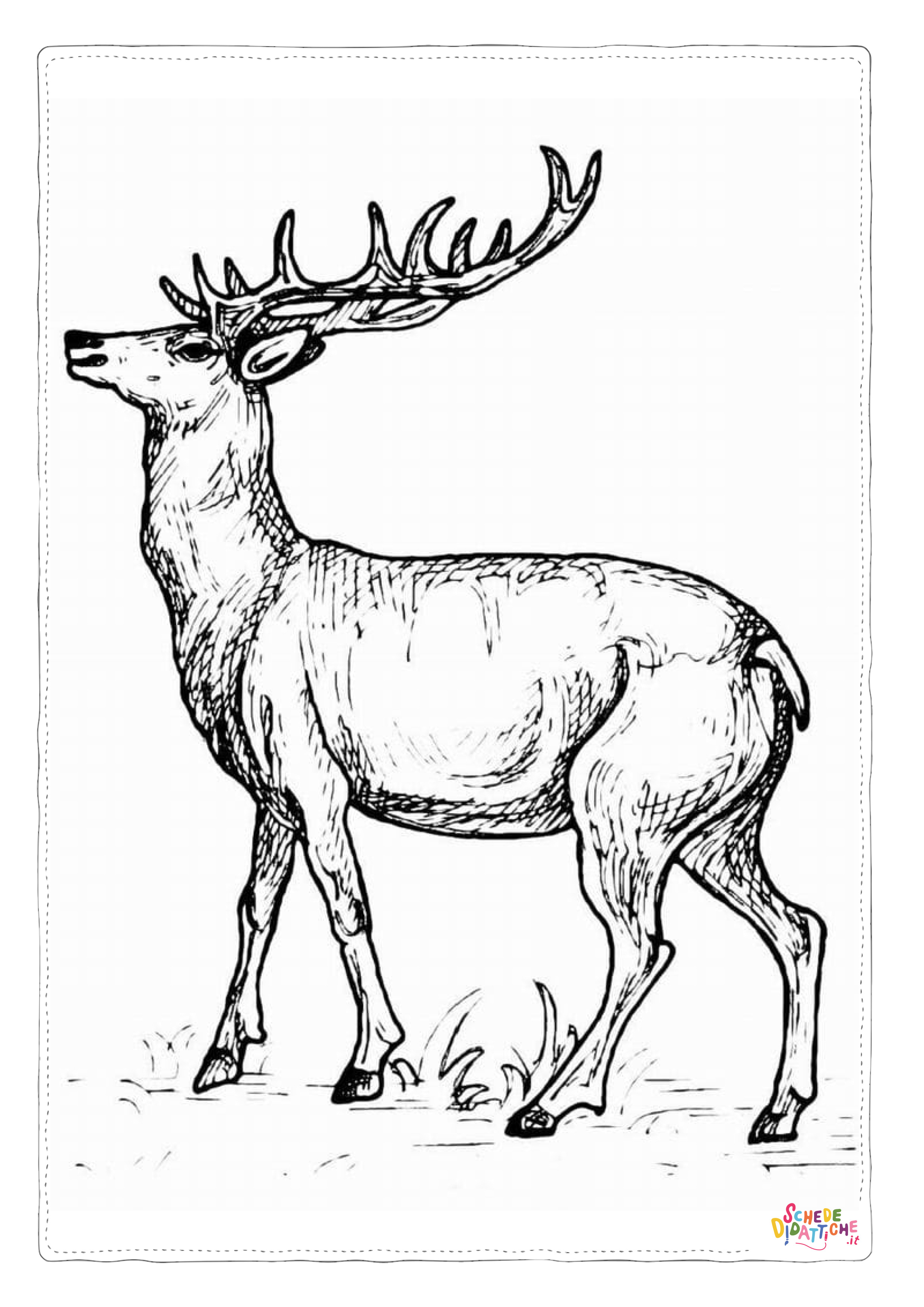 Disegno "Disegno di renna di Natale da stampare e colorare 29" Disegno di renna di Natale da stampare e colorare 29