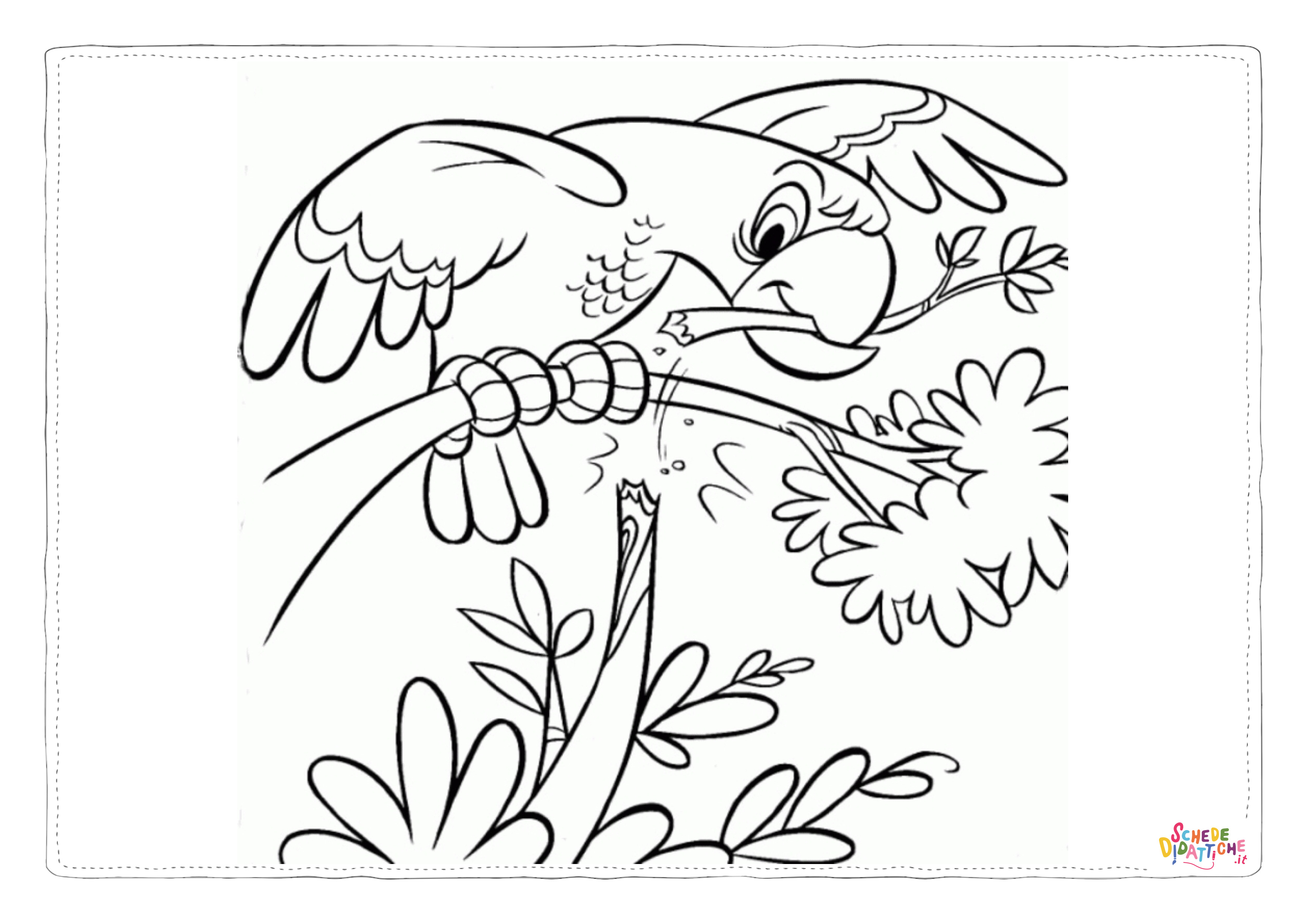 Disegno di pappagallo da stampare e colorare 168