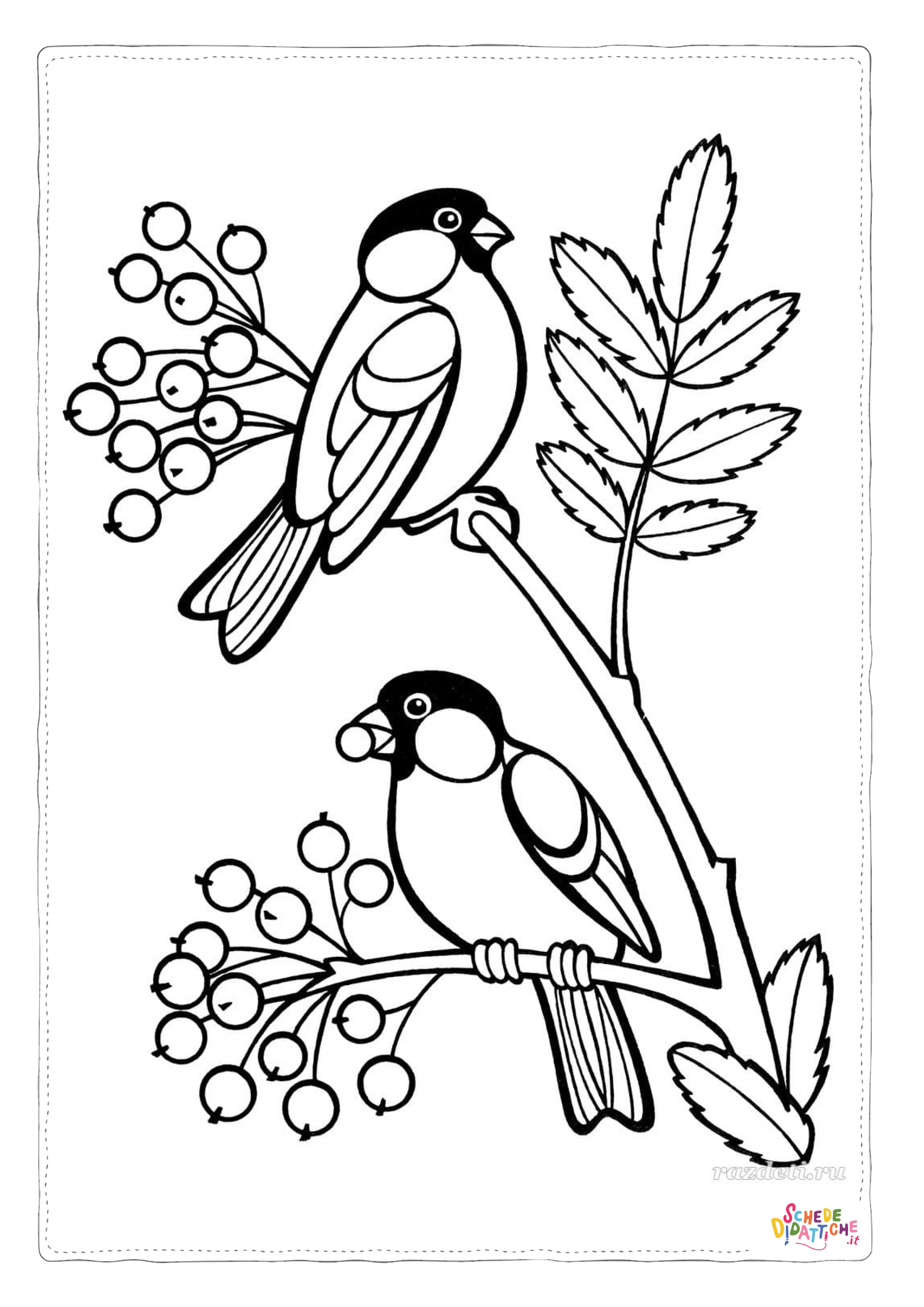 Disegno "Disegno di passero da stampare e colorare 125" Disegno di passero da stampare e colorare 125