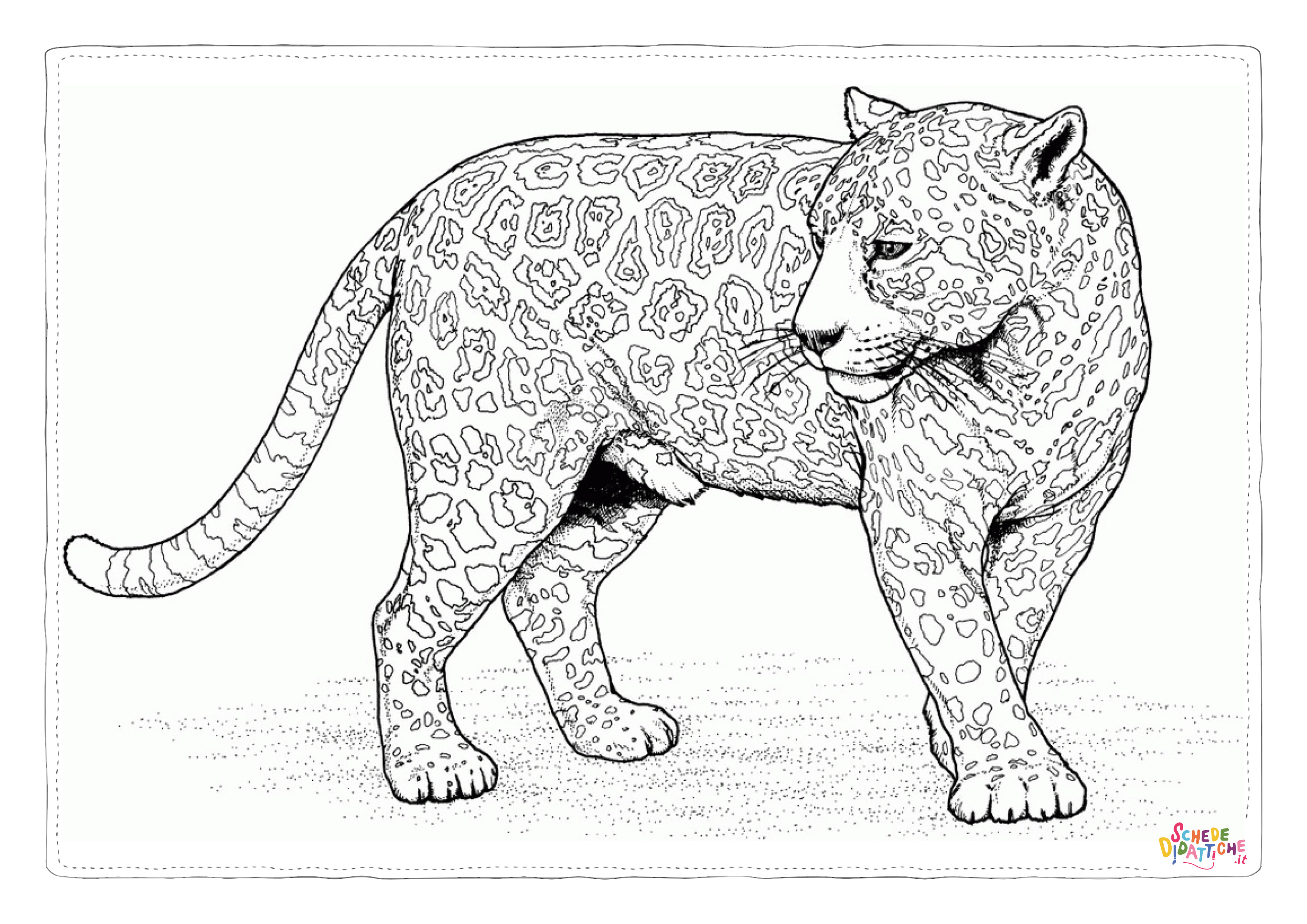 Disegno "Disegno di leopardo da stampare e colorare 10" Disegno di leopardo da stampare e colorare 10