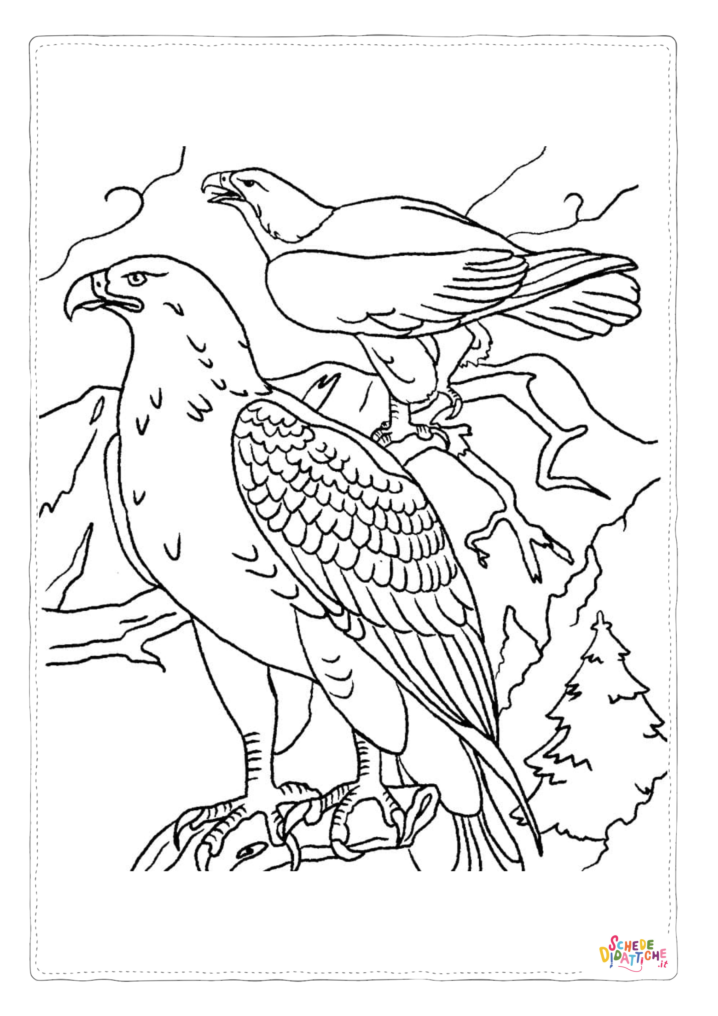 Disegno "Disegno di falco da stampare e colorare 22" Disegno di falco da stampare e colorare 22