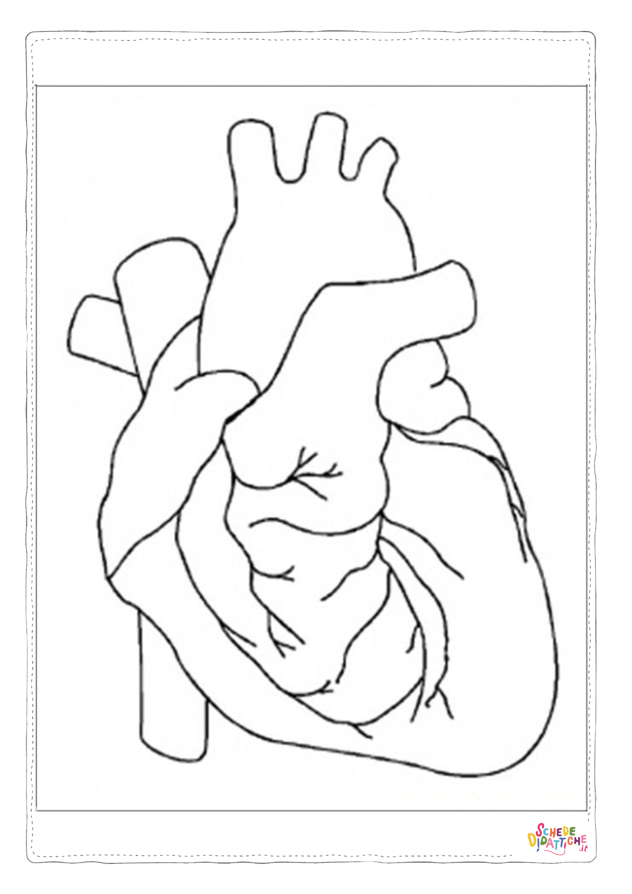 Disegno di parti del corpo da stampare e colorare 15