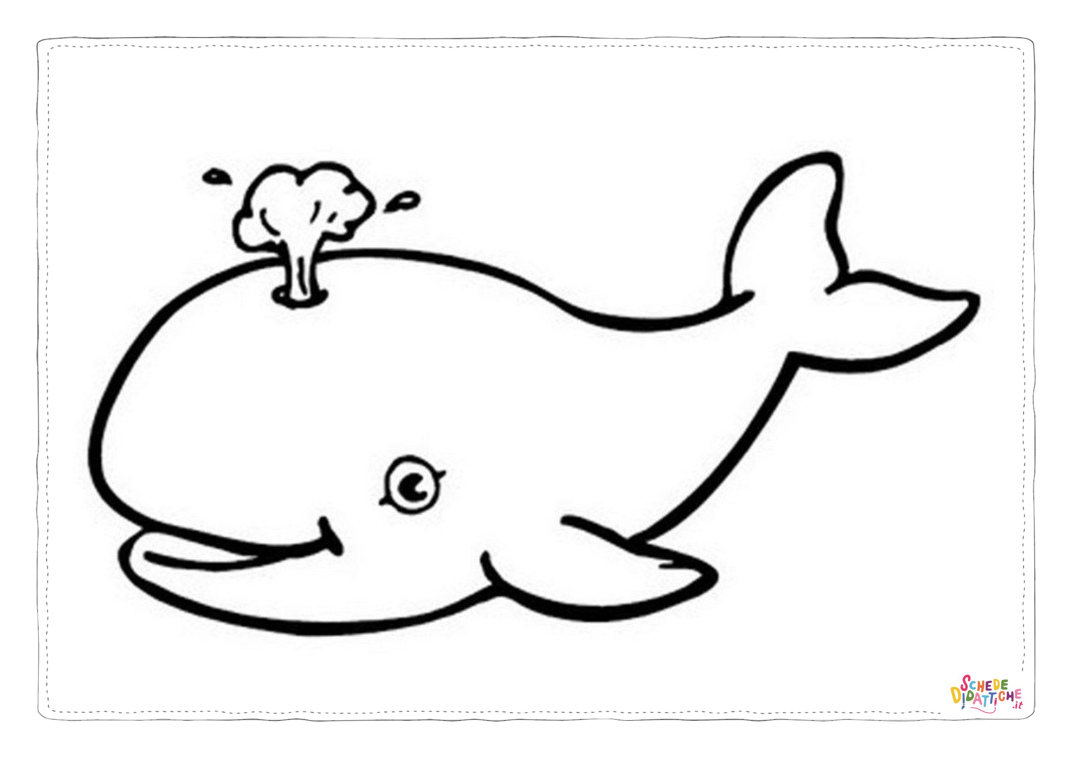 Disegno di balena da stampare e colorare 15