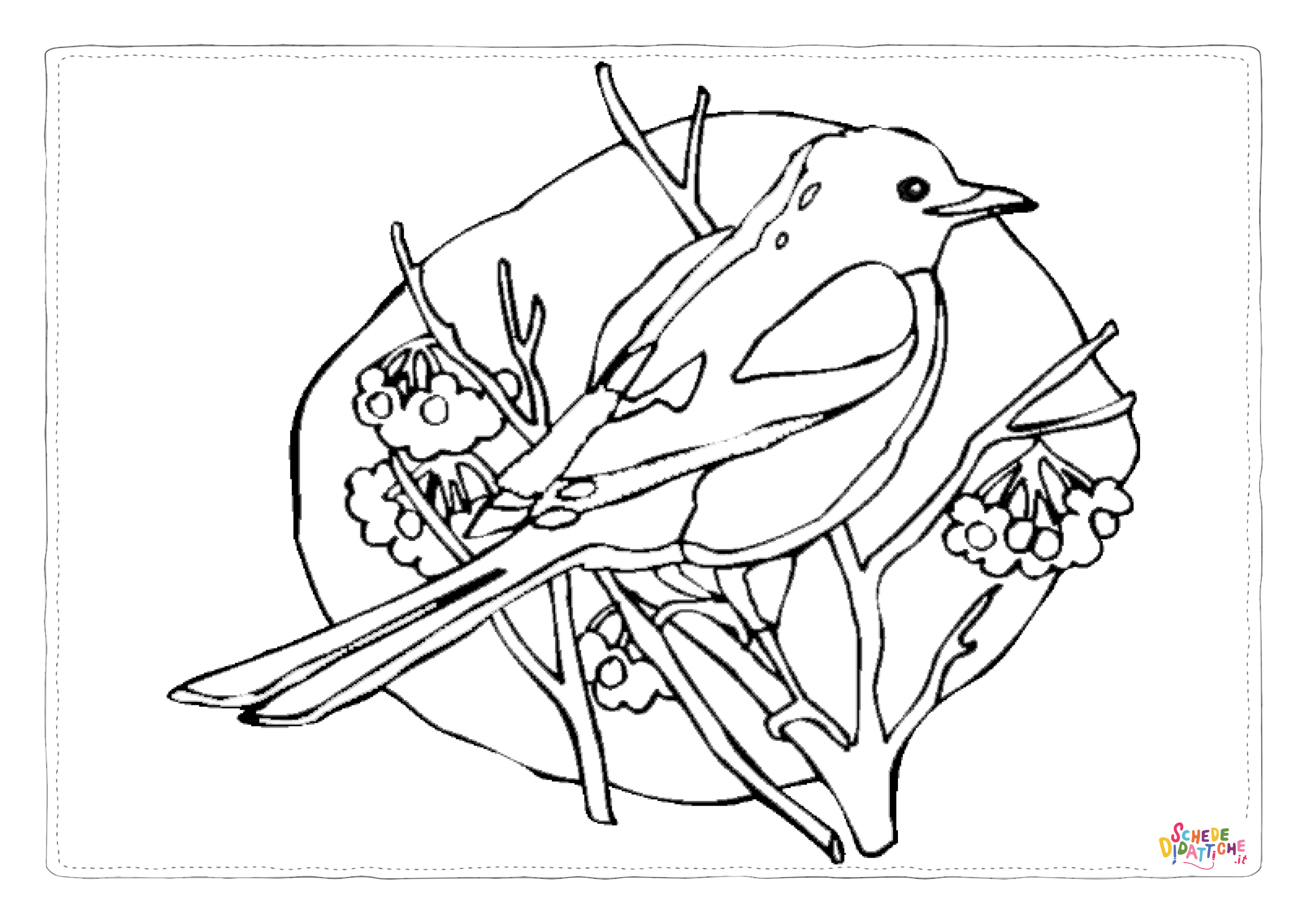 Disegno "Disegno di uccello da stampare e colorare 9" Disegno di uccello da stampare e colorare 9