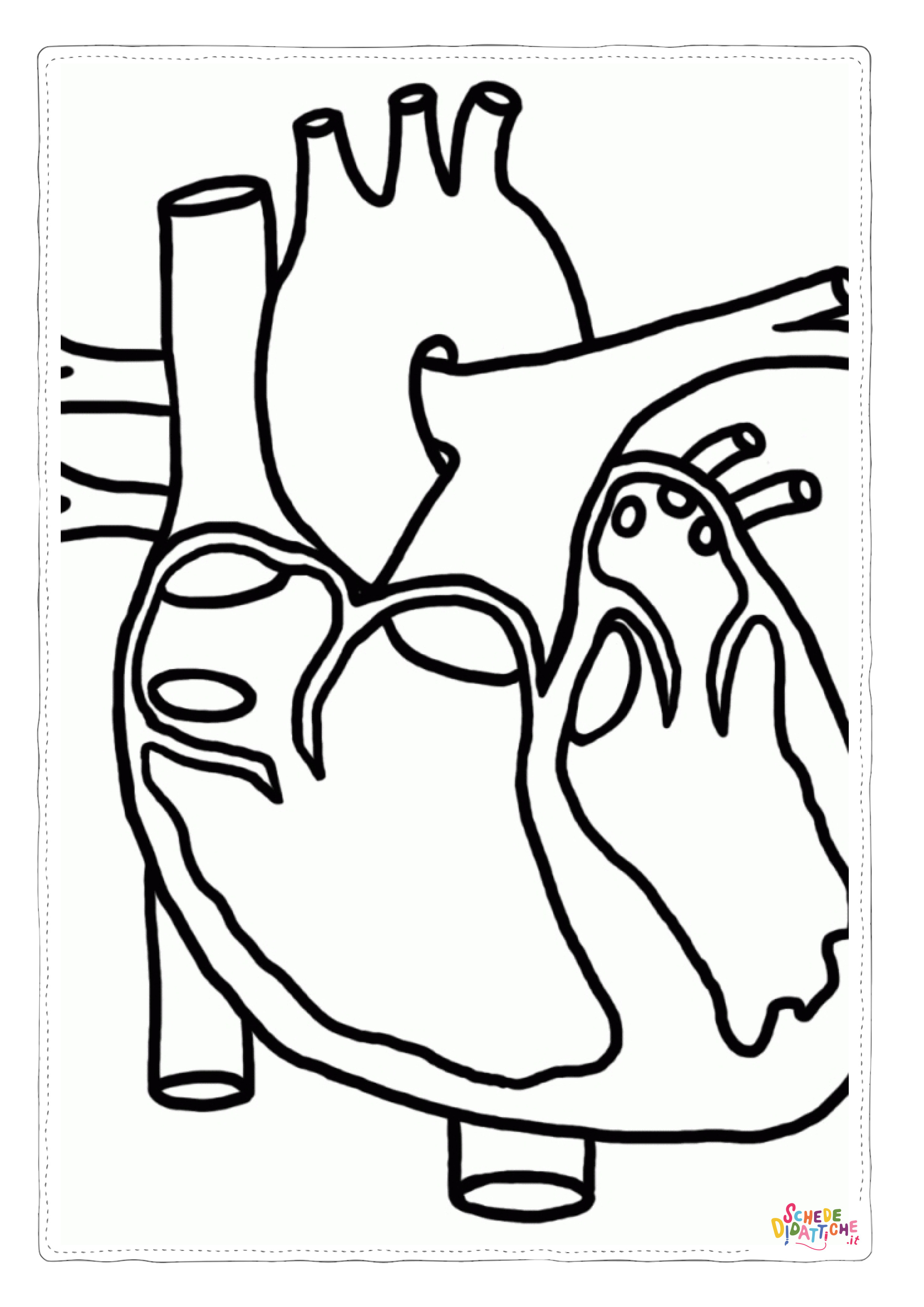 Disegno di parti del corpo da stampare e colorare