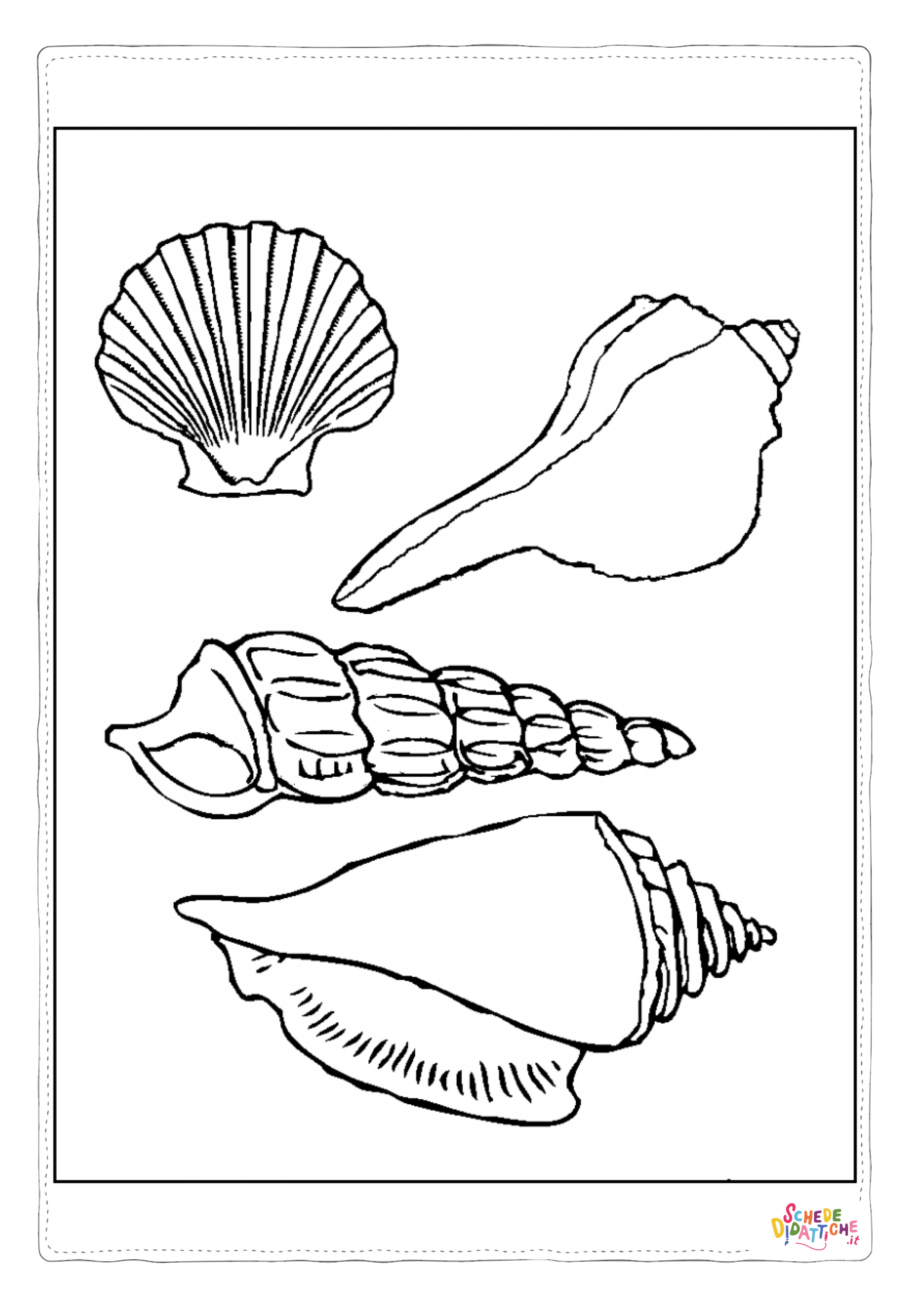 Disegno di conchiglia da stampare e colorare 12
