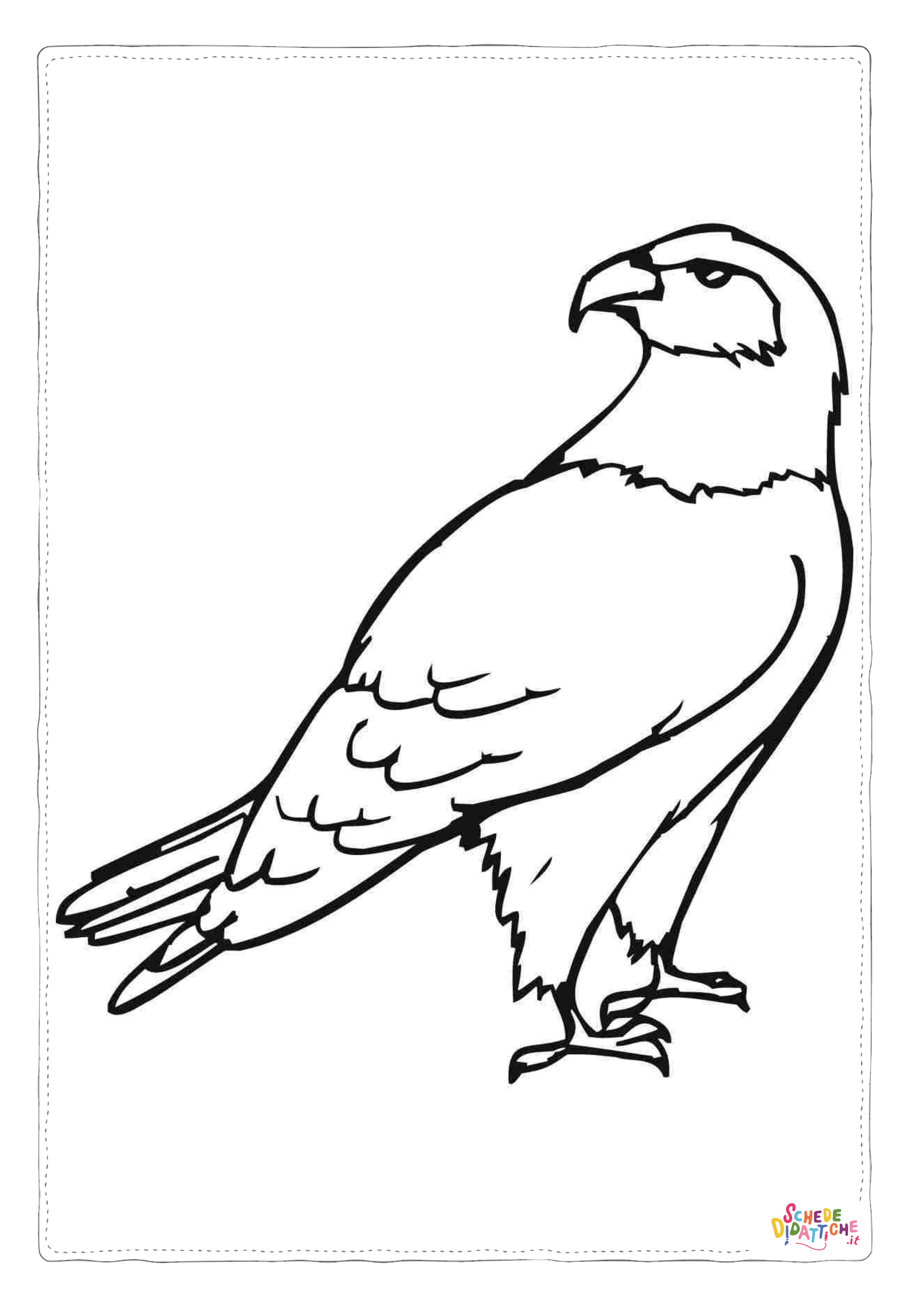 Disegno di aquila da stampare e colorare 19