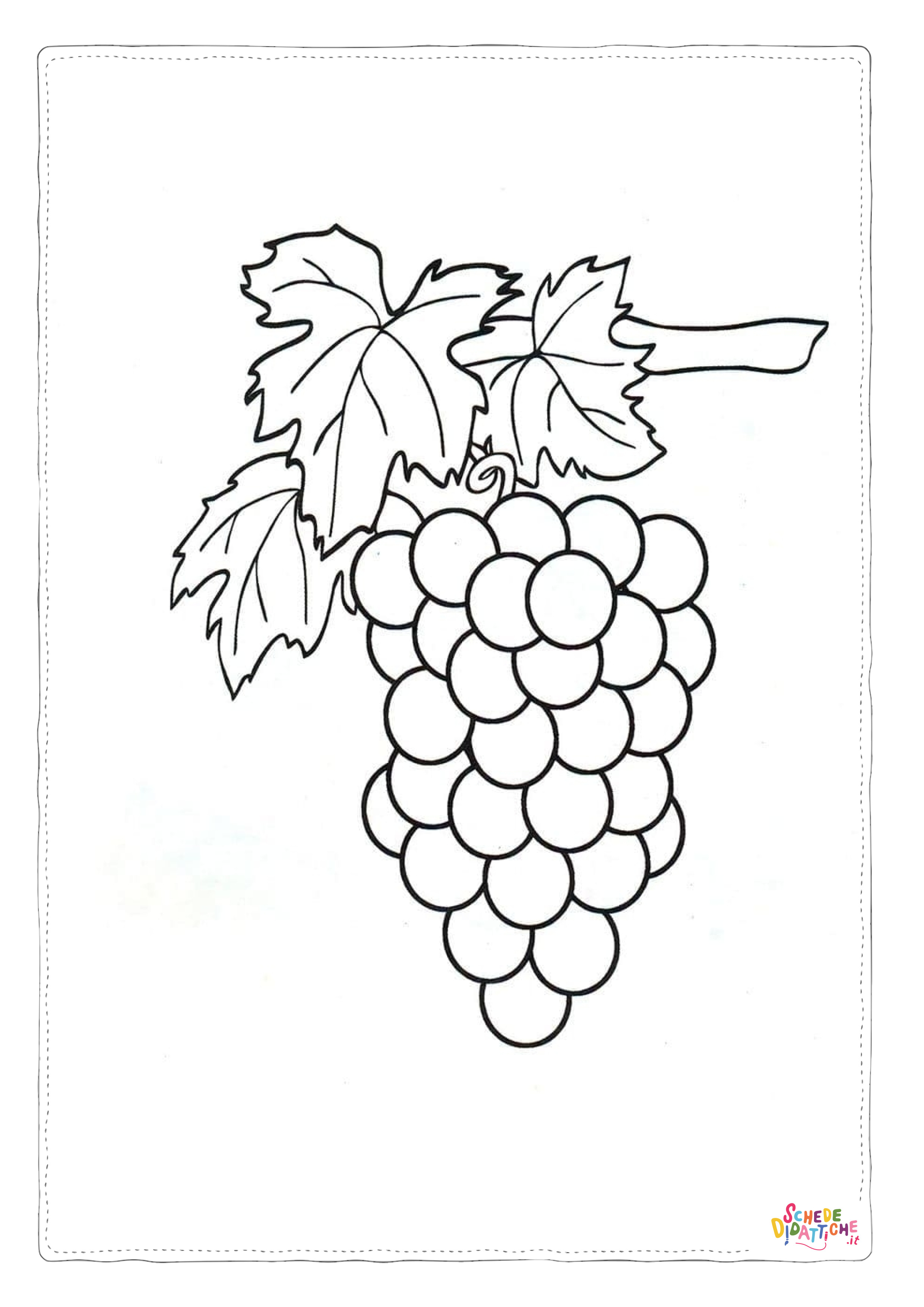 Disegno di uva da stampare e colorare 23