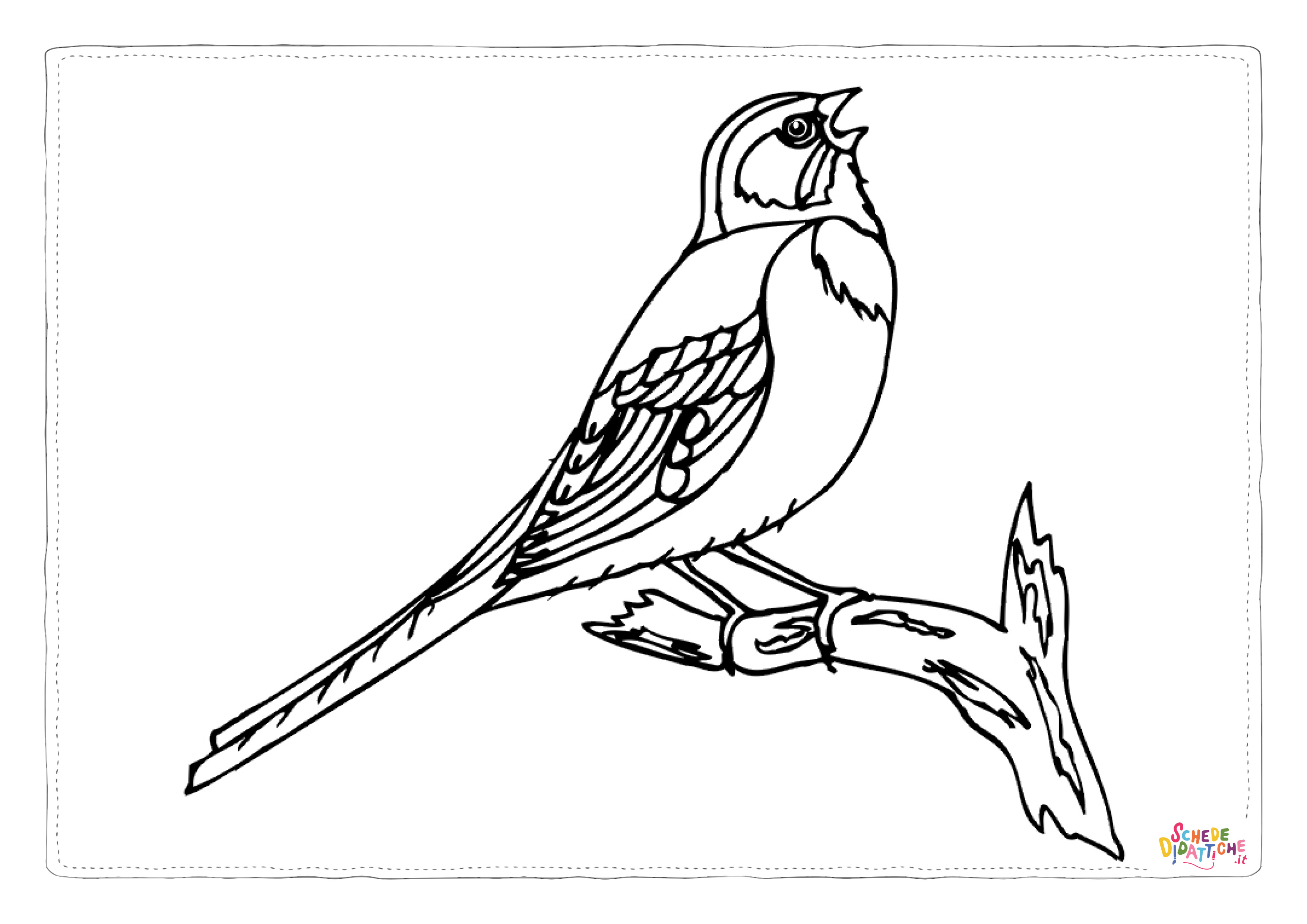Disegno "Disegno di passero da stampare e colorare 95" Disegno di passero da stampare e colorare 95