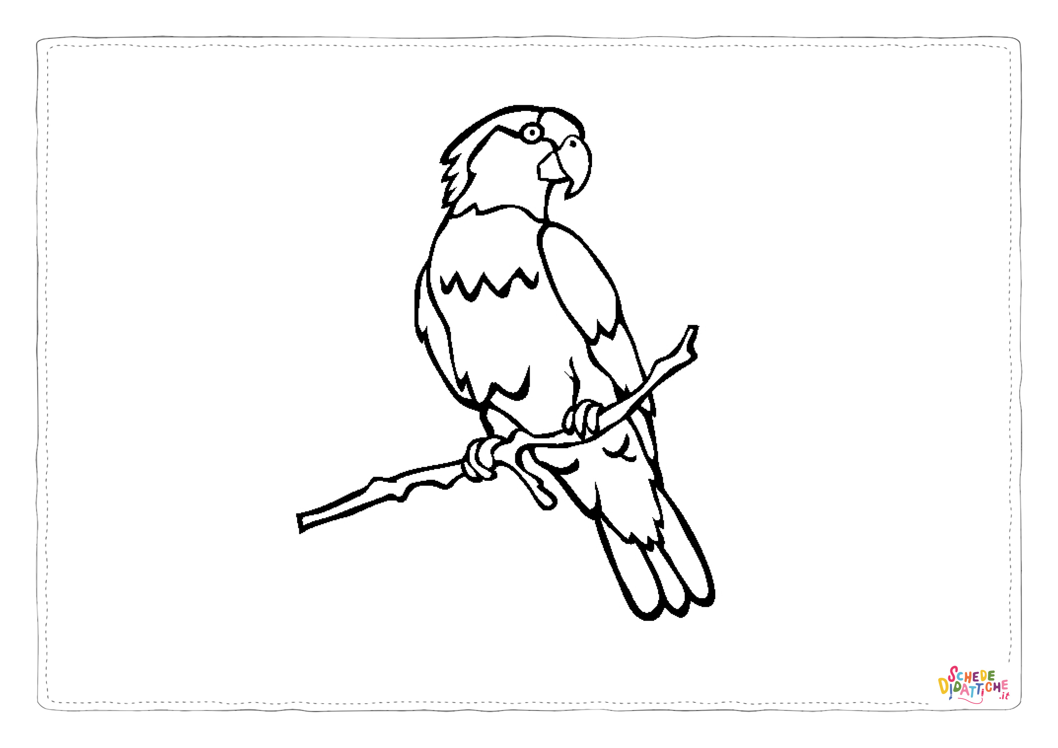 Disegno di pappagallo da stampare e colorare 120