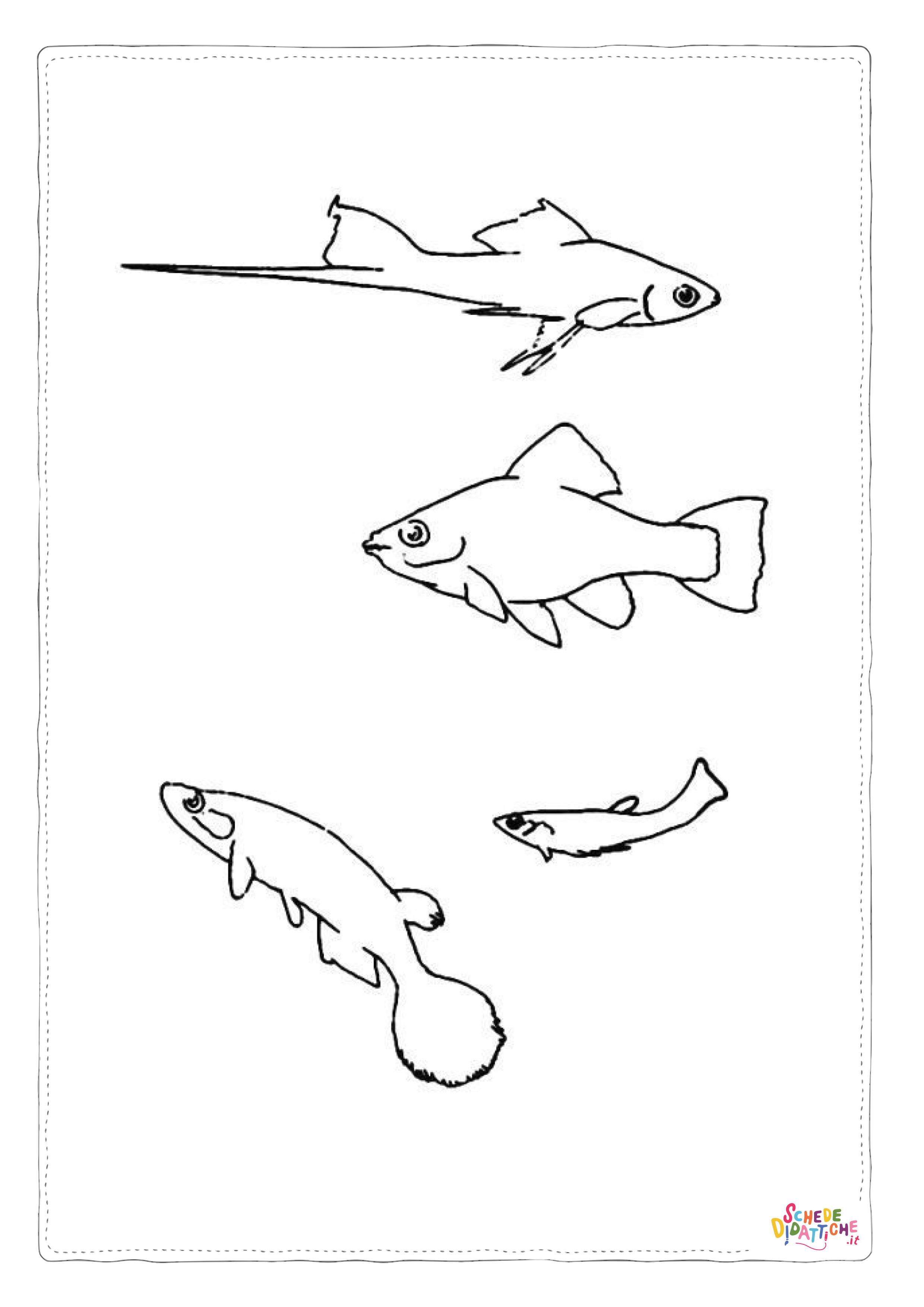 Disegno "Disegno di pesce da stampare e colorare 324" Disegno di pesce da stampare e colorare 324