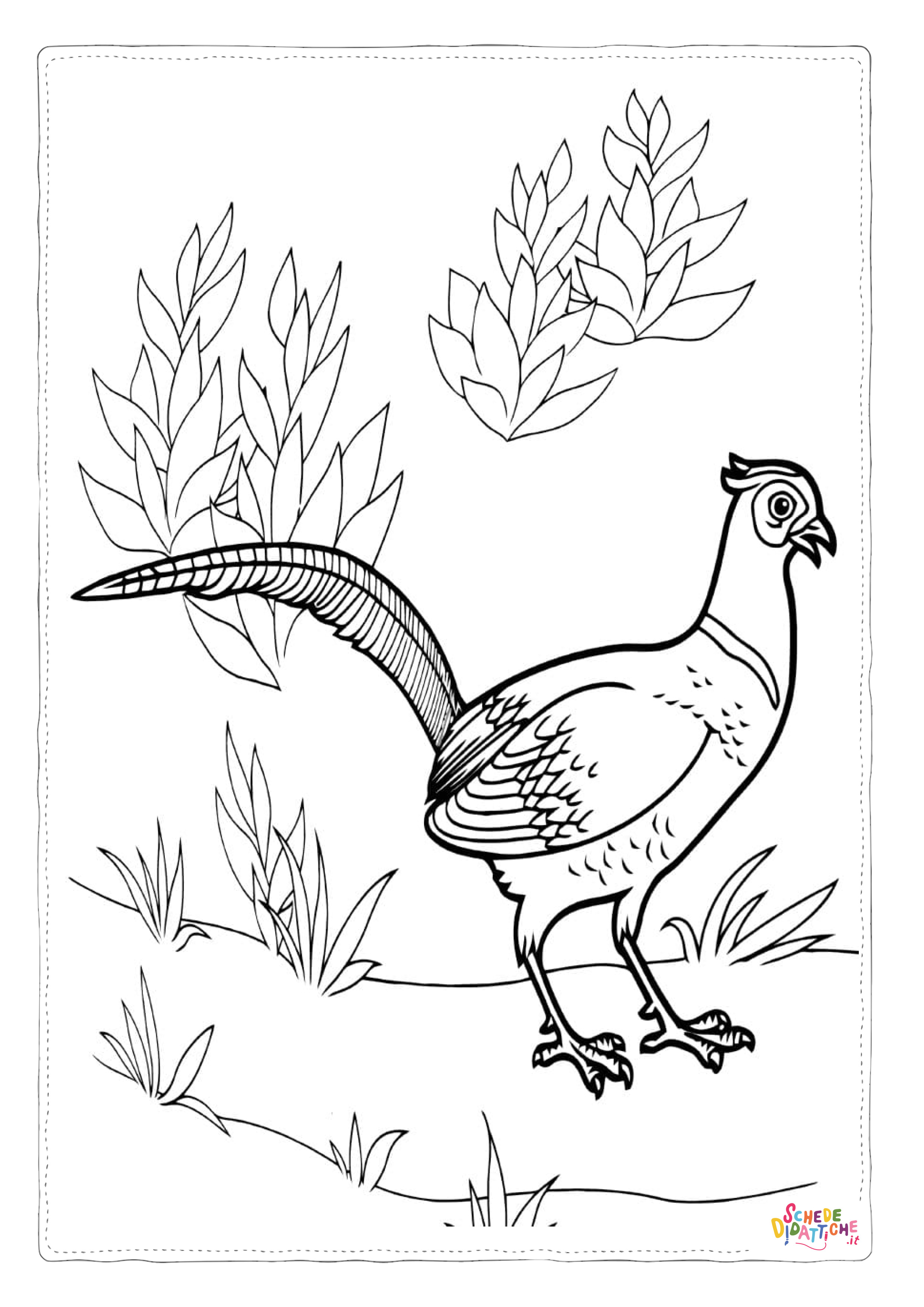 Disegno "Disegno di uccello da stampare e colorare 123" Disegno di uccello da stampare e colorare 123