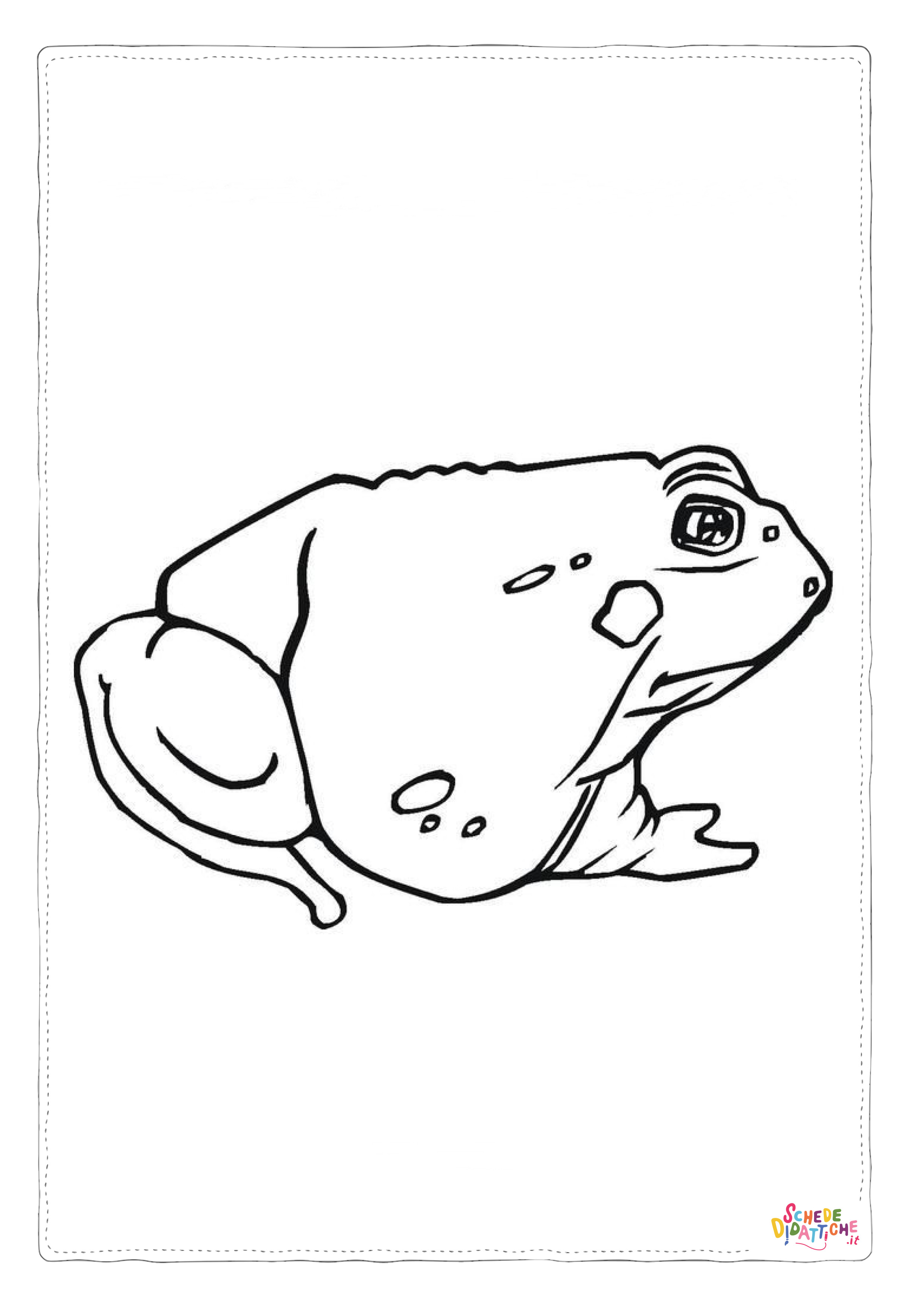 Disegno di rana da stampare e colorare 94