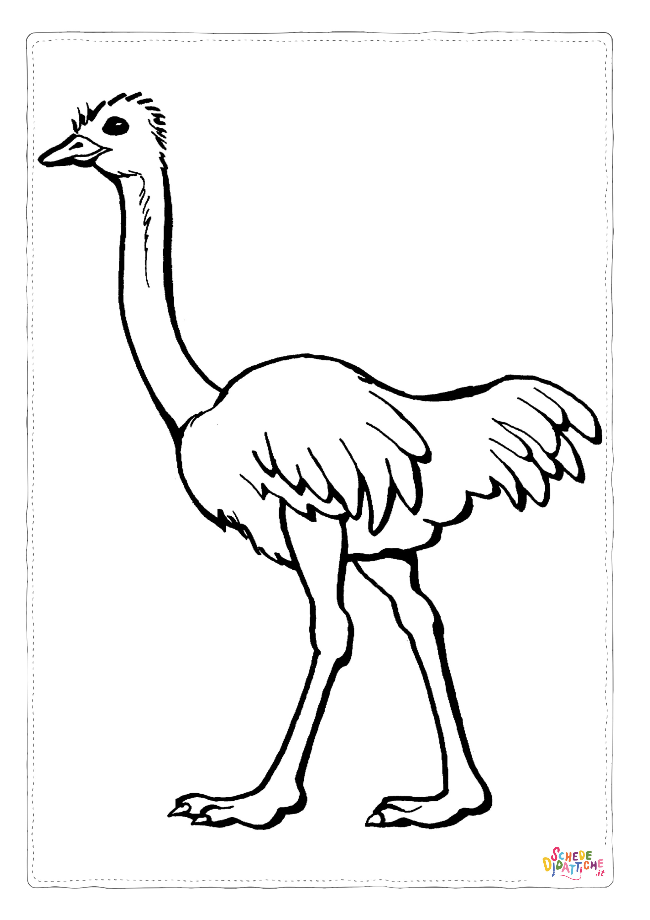 Disegno "Disegno di struzzo da stampare e colorare 6" Disegno di struzzo da stampare e colorare 6