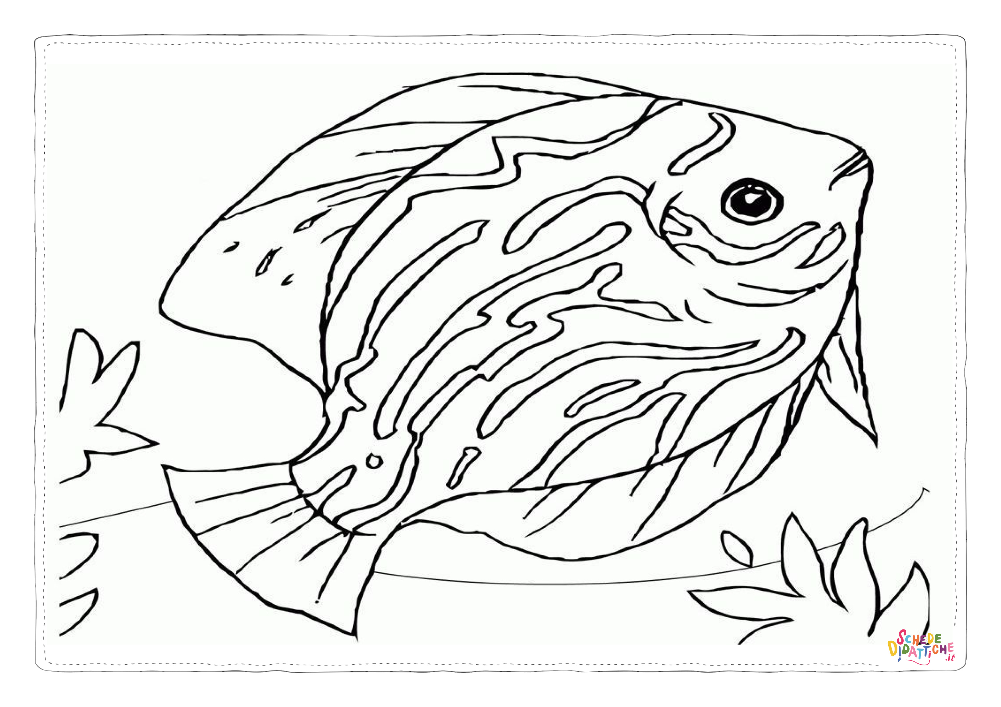 Disegno "Disegno di pesce da stampare e colorare 306" Disegno di pesce da stampare e colorare 306