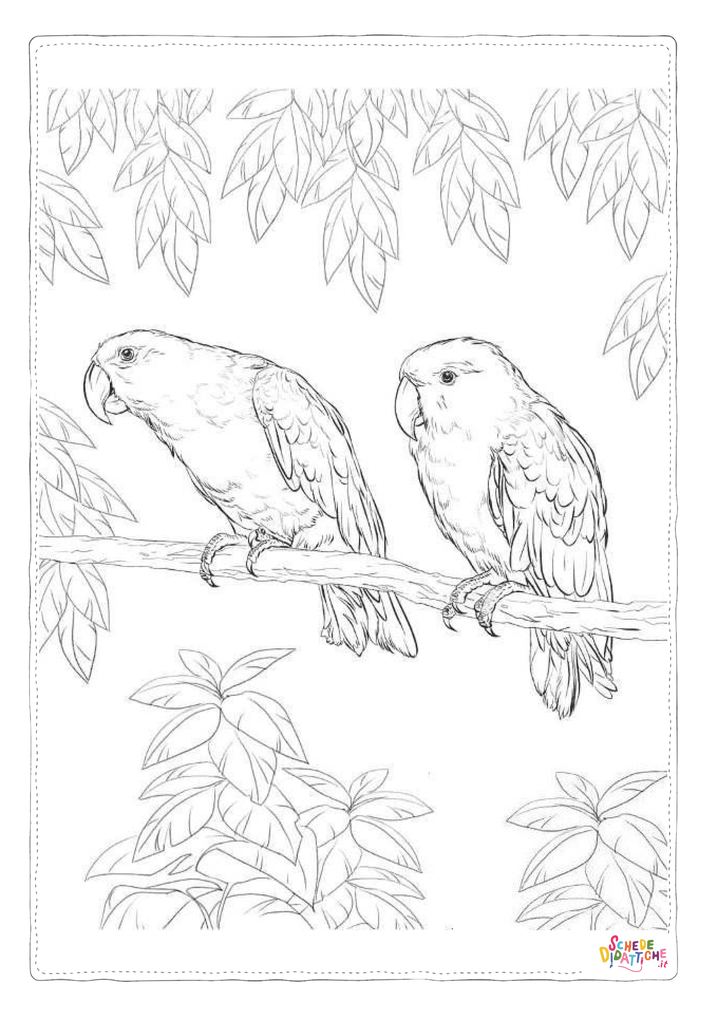Disegno di pappagallo da stampare e colorare 139