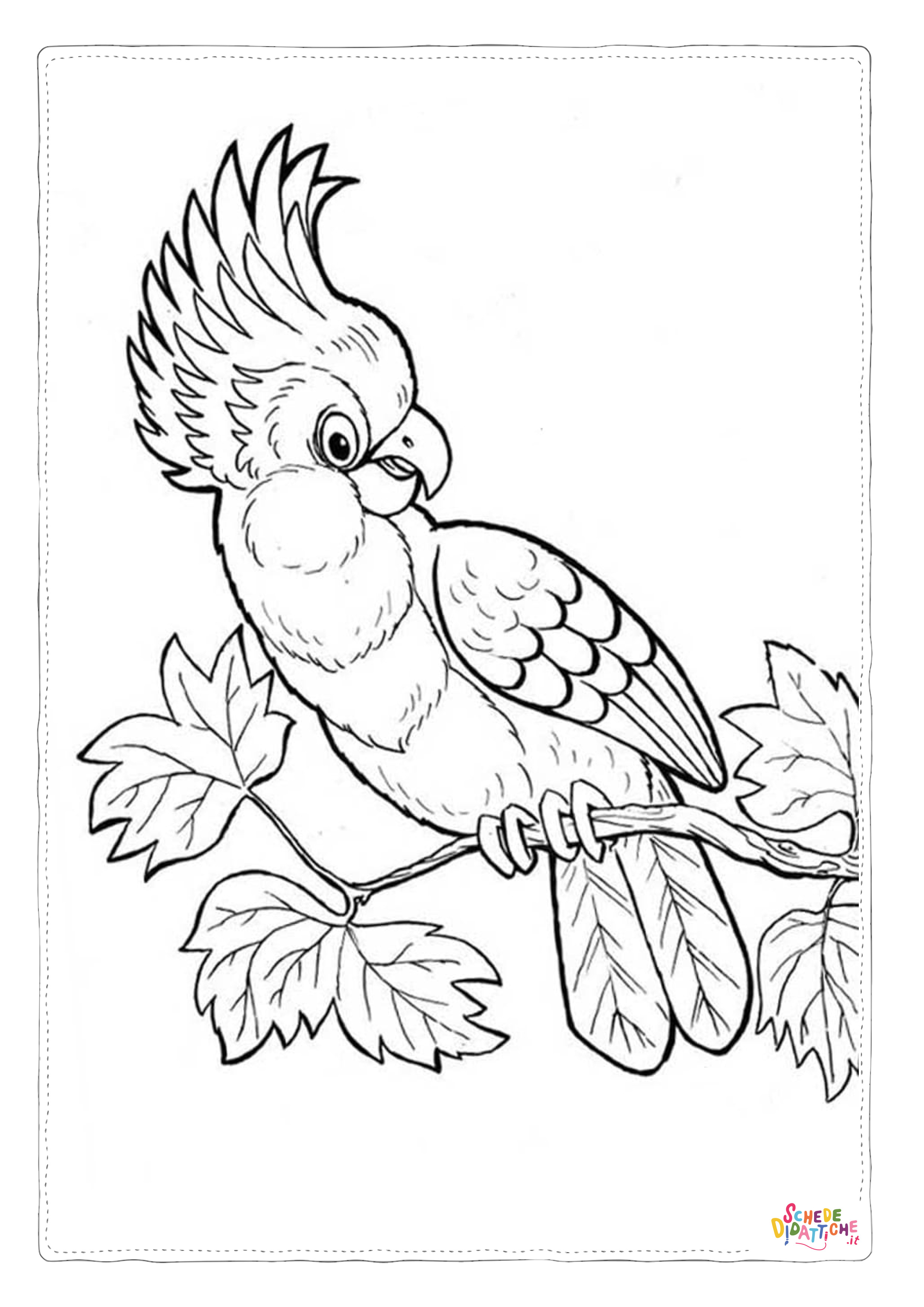 Disegno "Disegno di pappagallo da stampare e colorare 74" Disegno di pappagallo da stampare e colorare 74