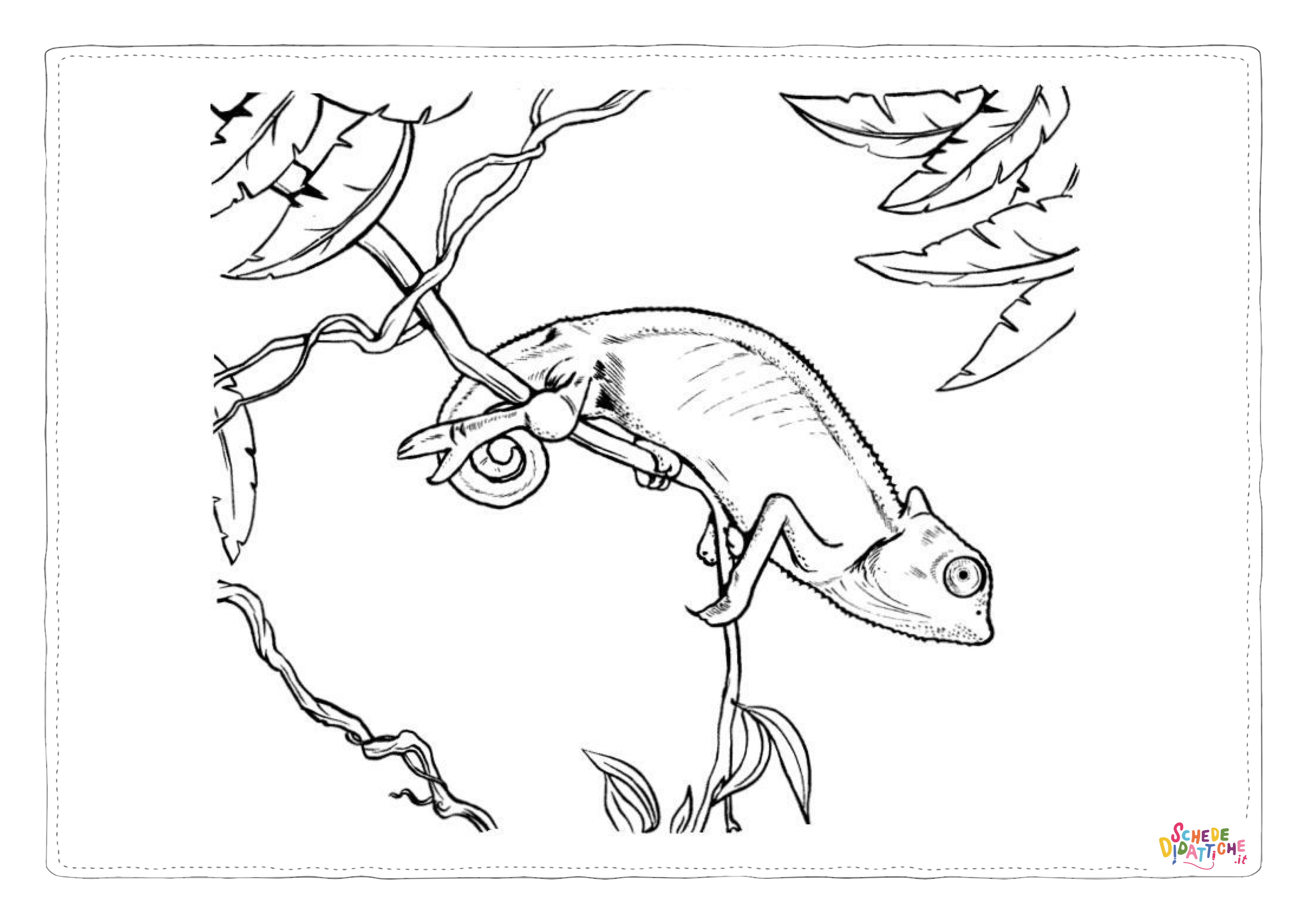 Disegno "Disegno di camaleonte da stampare e colorare 13" Disegno di camaleonte da stampare e colorare 13