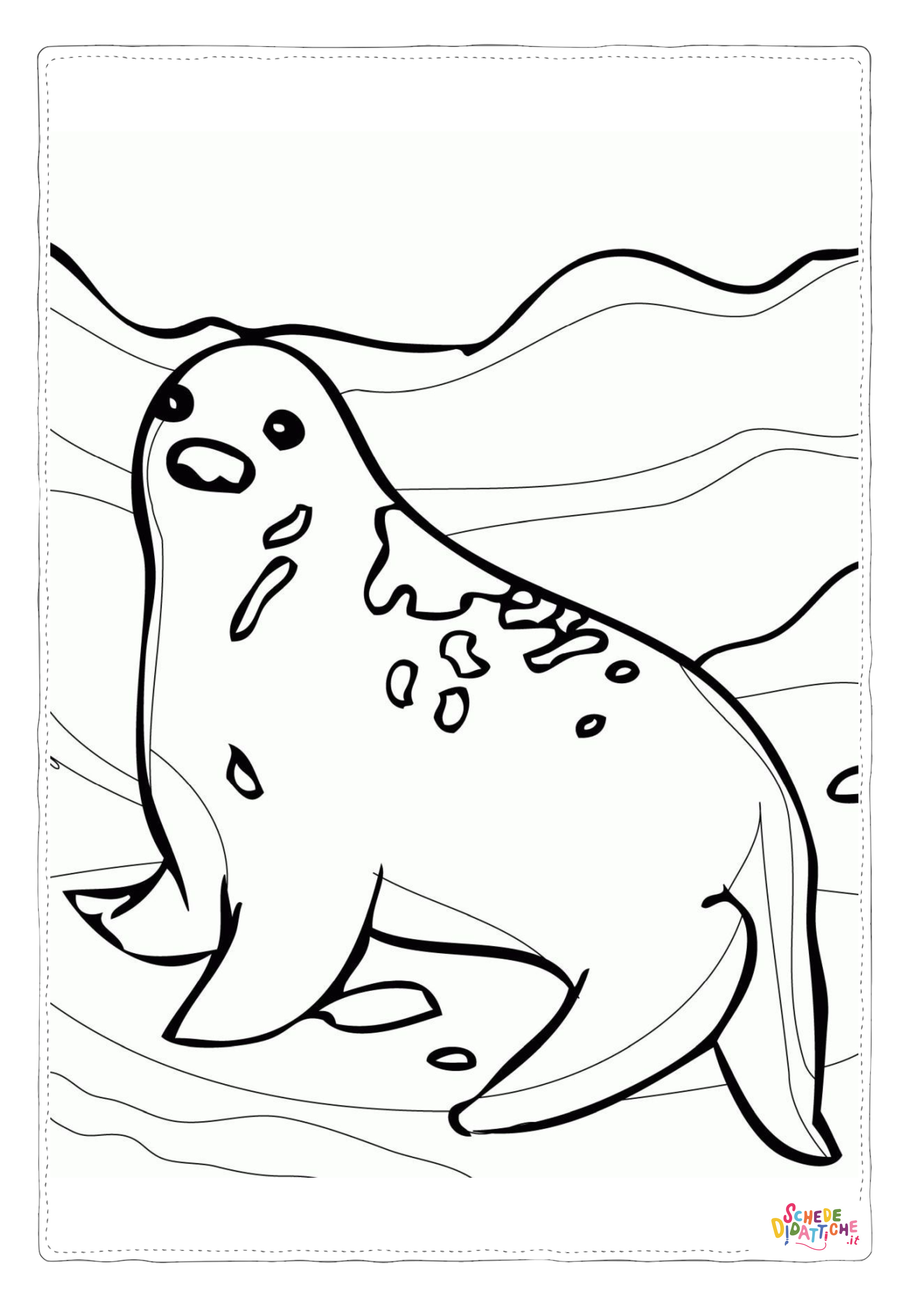 Disegno "Disegno di foca da stampare e colorare 7" Disegno di foca da stampare e colorare 7