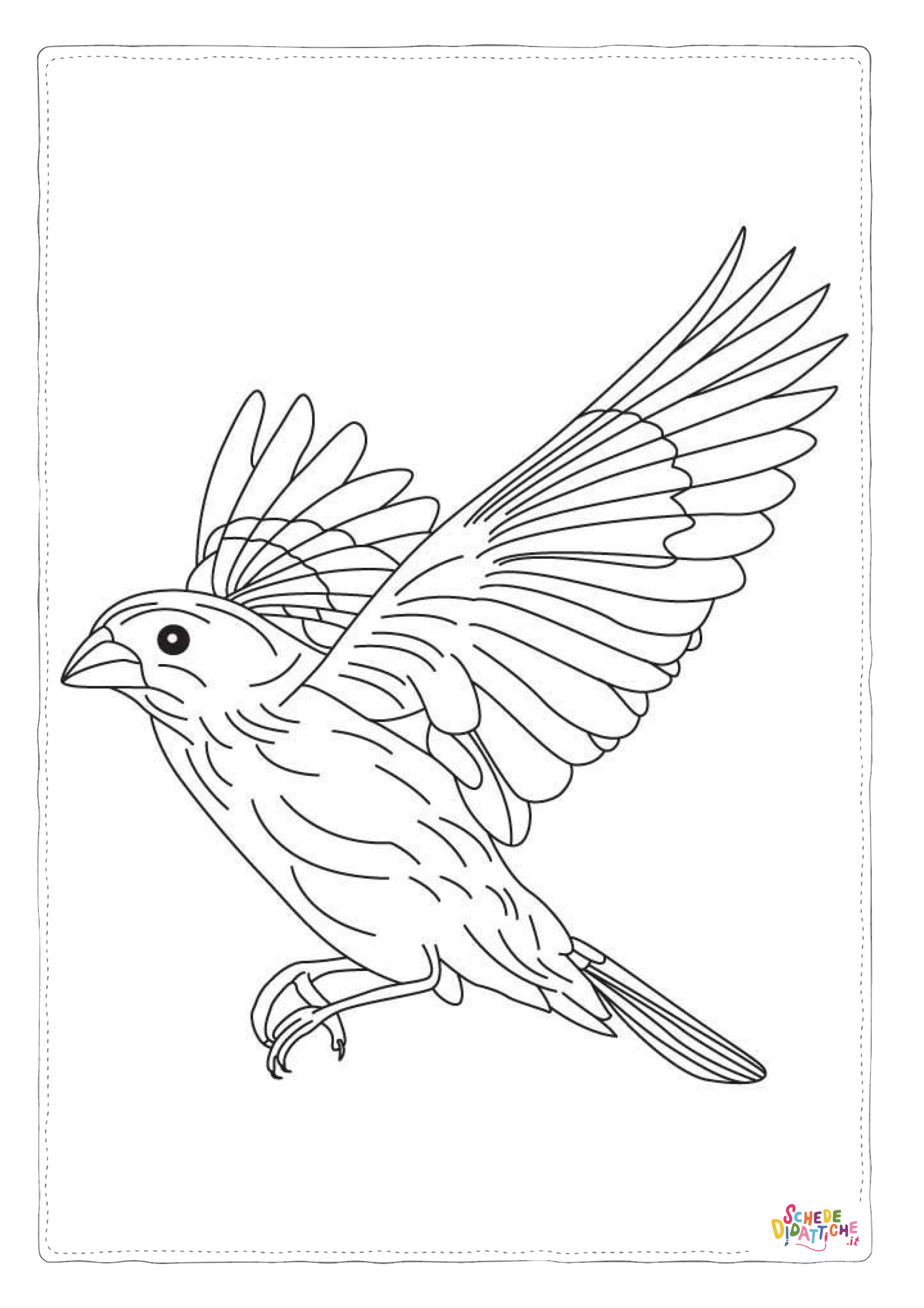 Disegno "Disegno di passero da stampare e colorare 46" Disegno di passero da stampare e colorare 46