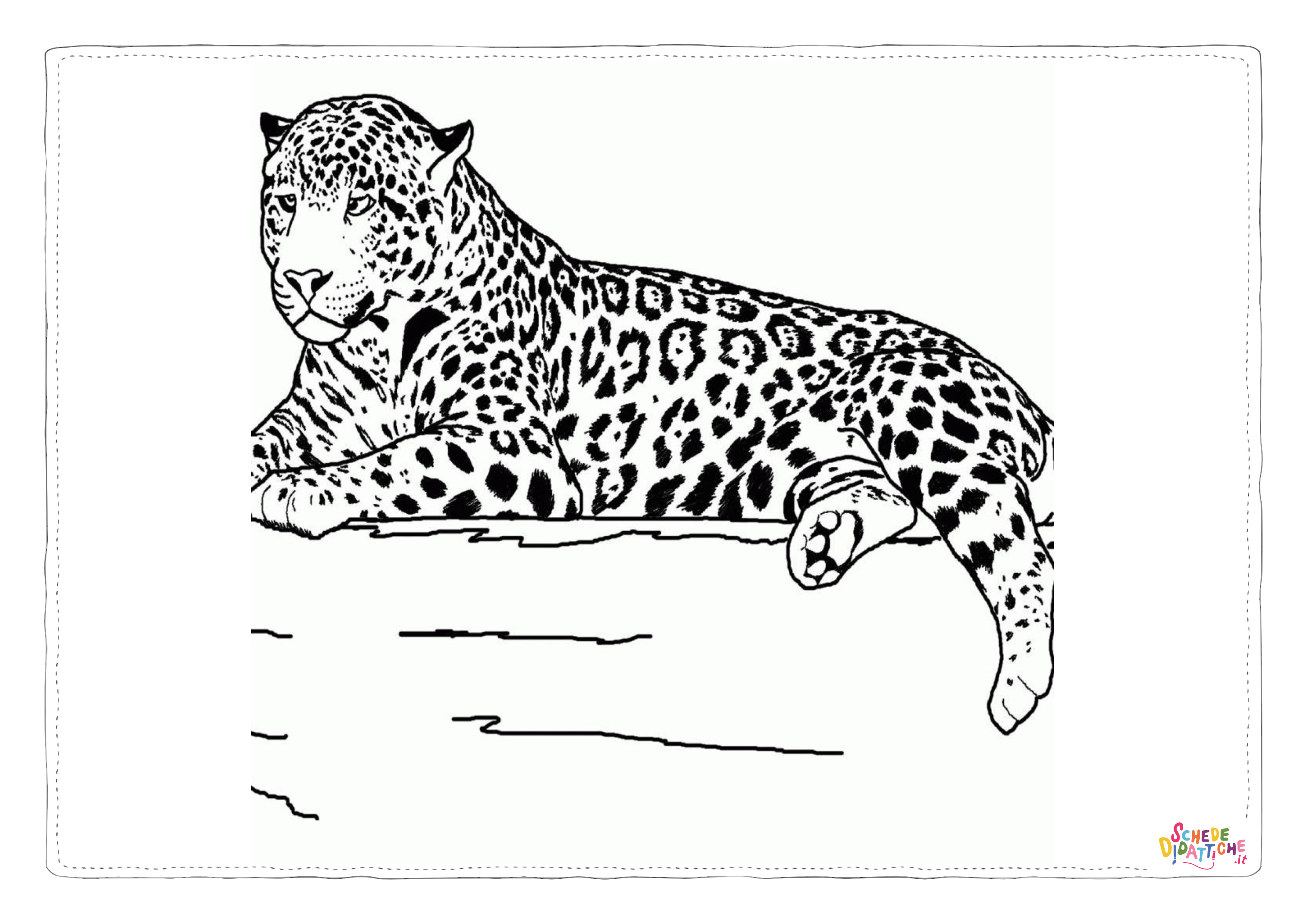 Disegno "Disegno di leopardo da stampare e colorare 64" Disegno di leopardo da stampare e colorare 64