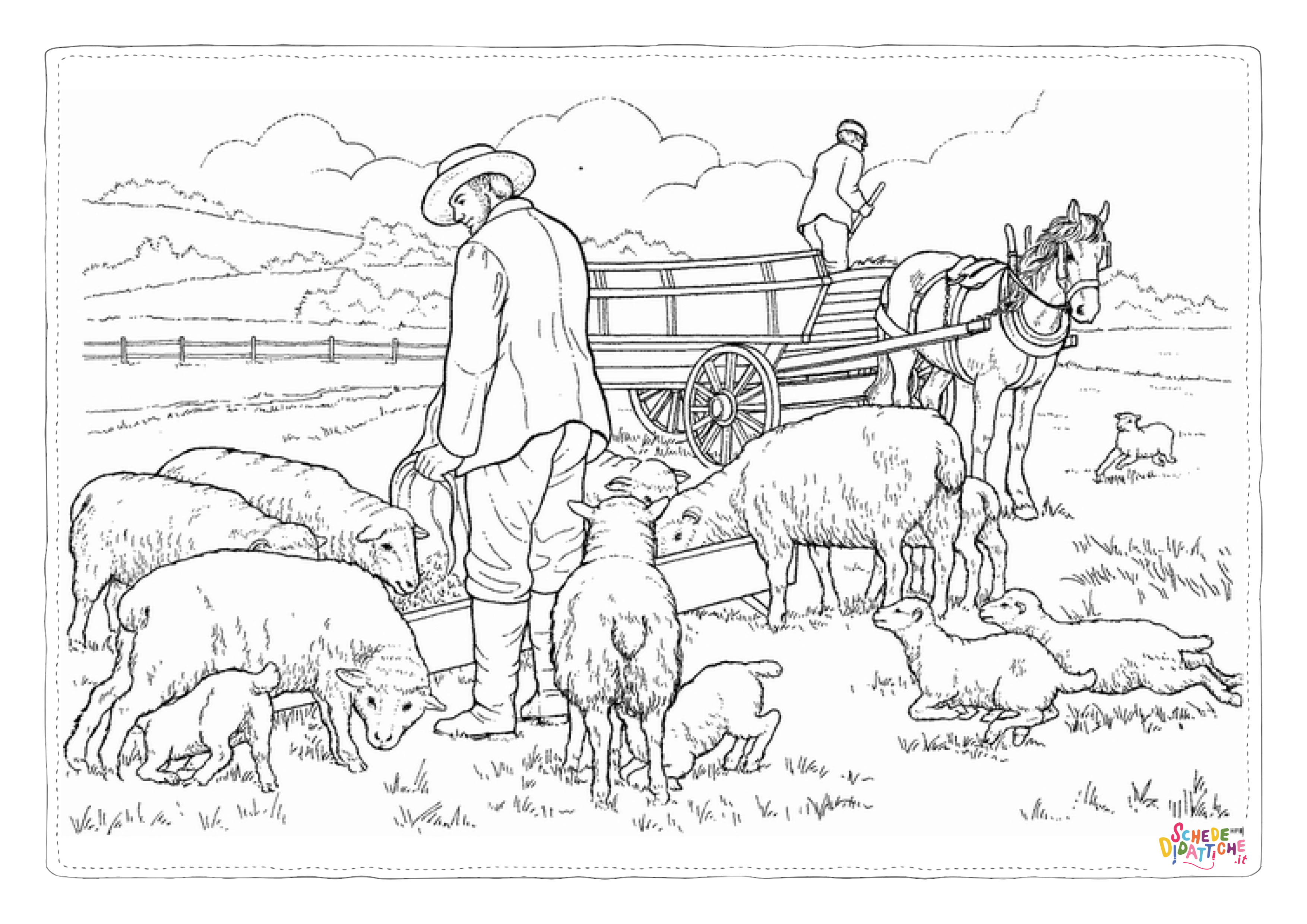 Disegno di pecora da stampare e colorare 8