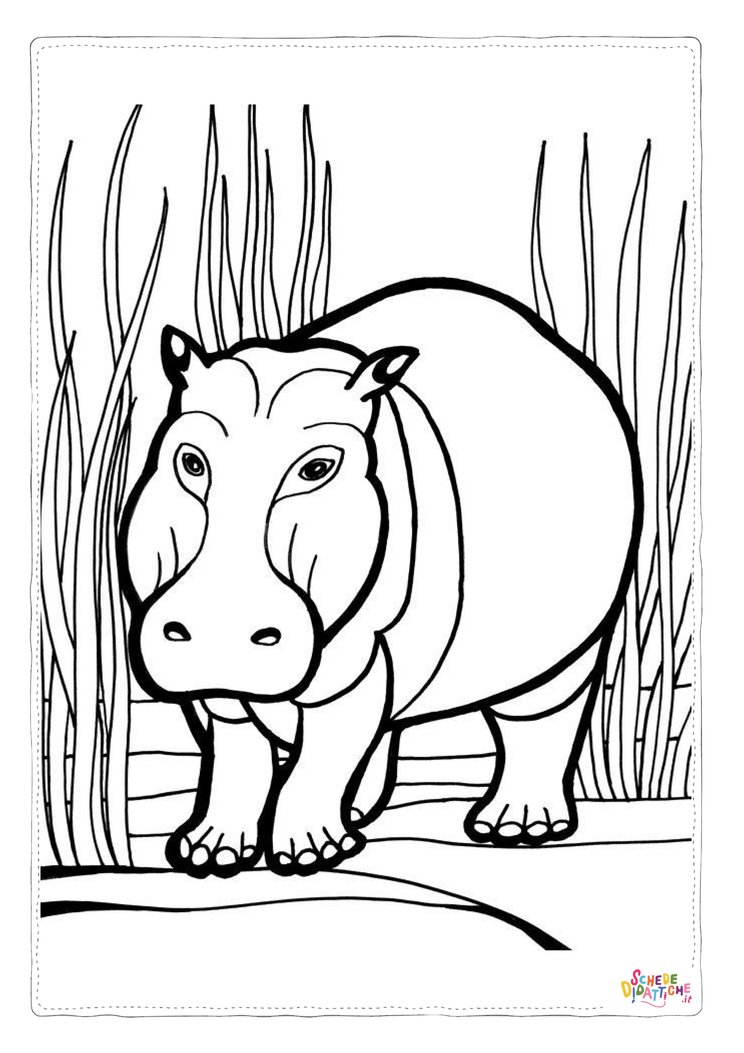Disegno di ippopotamo da stampare e colorare 51