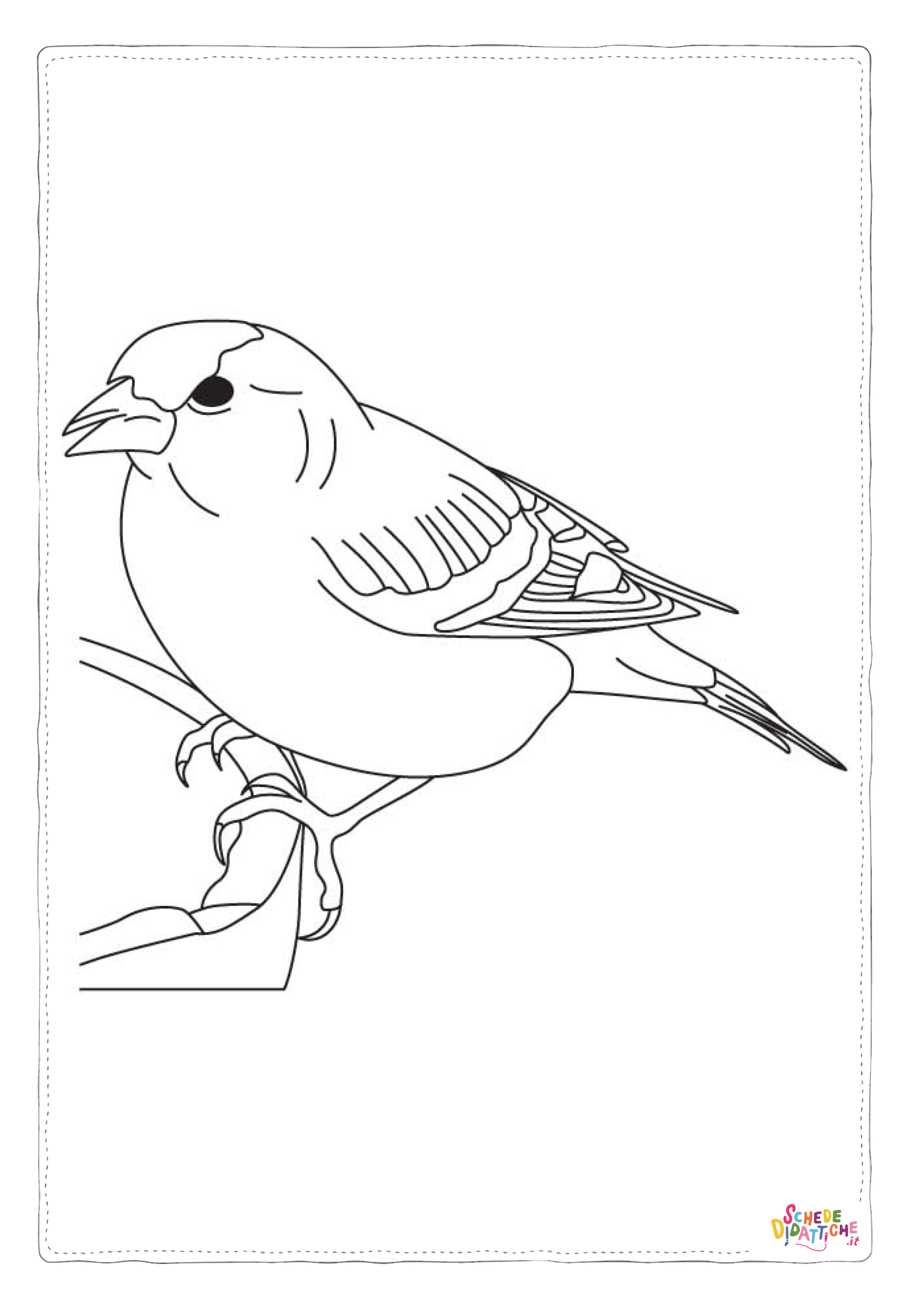 Disegno di passero da stampare e colorare 105