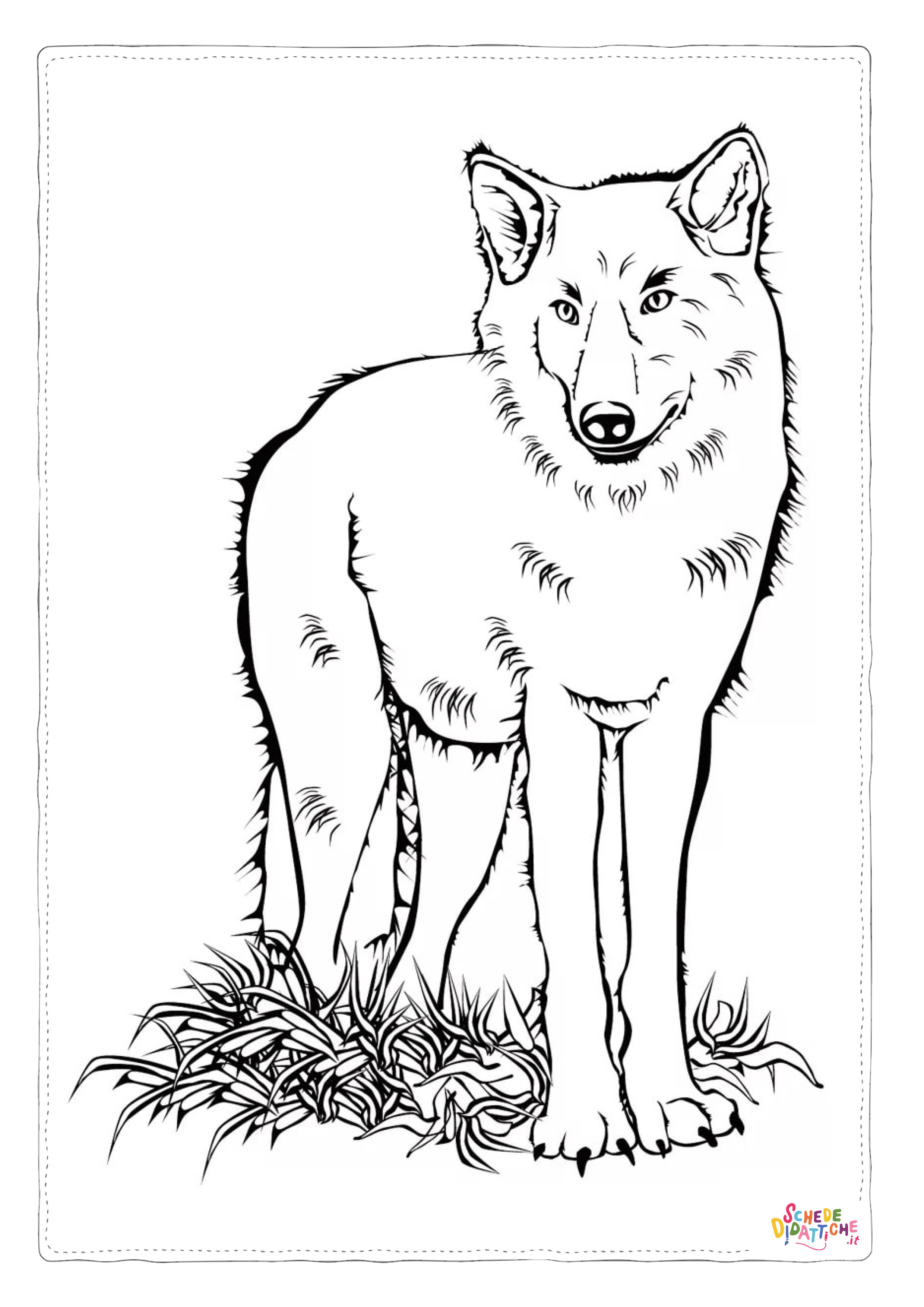Disegno di lupo da stampare e colorare 40