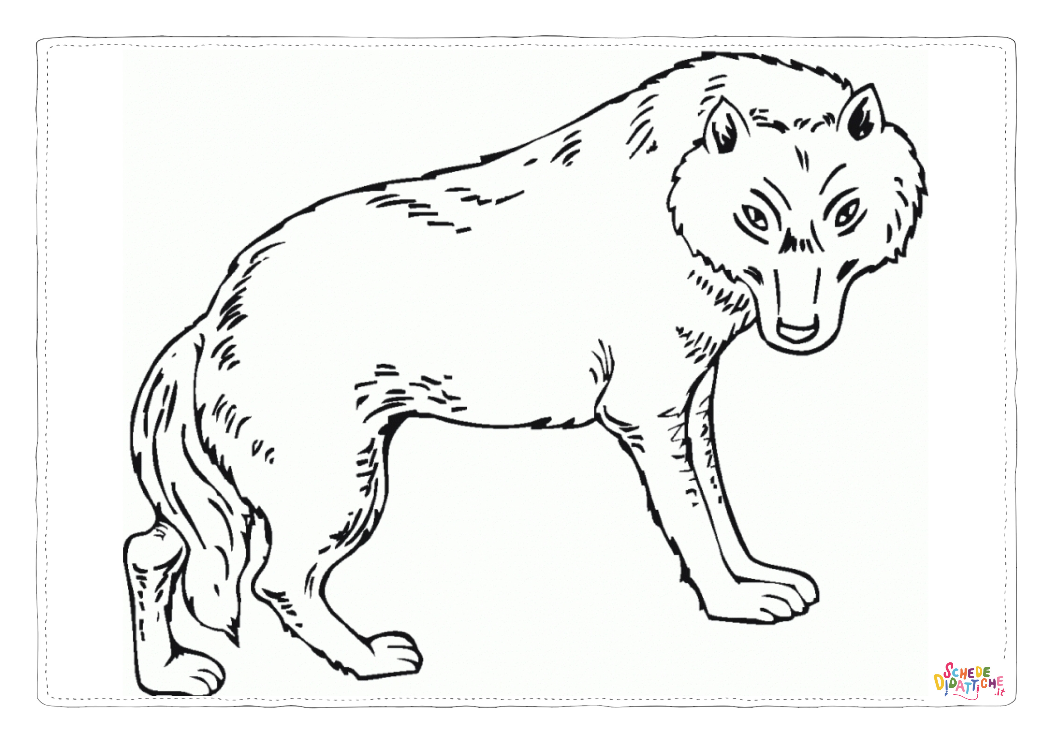 Disegno di lupo da stampare e colorare 34