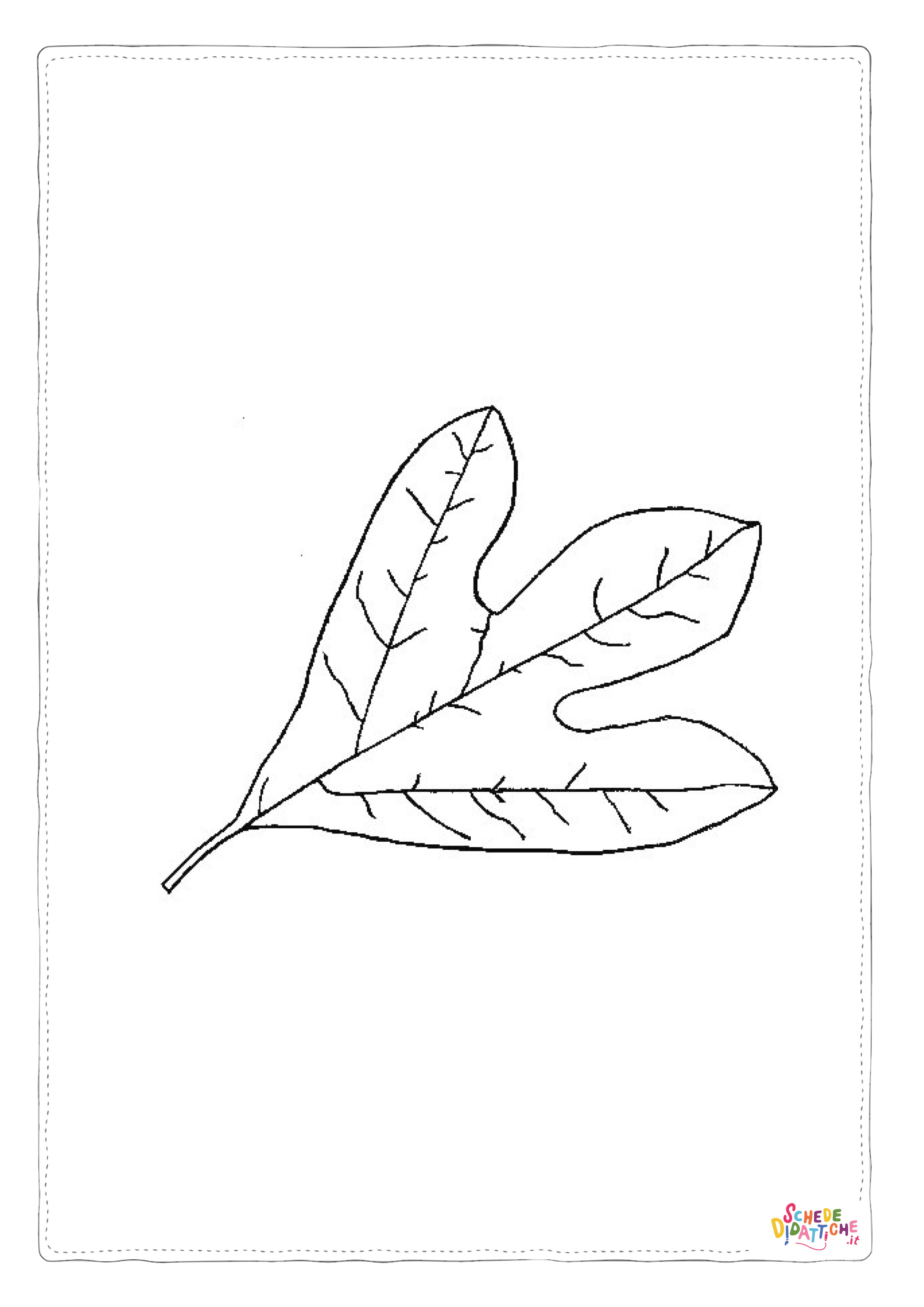 Disegno di foglia da stampare e colorare 126