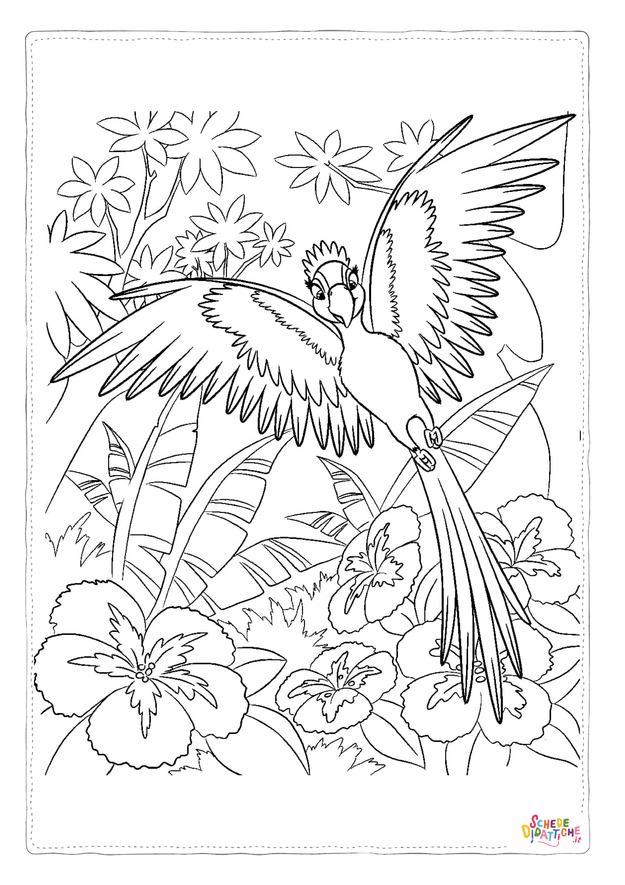 Disegno di pappagallo da stampare e colorare 112