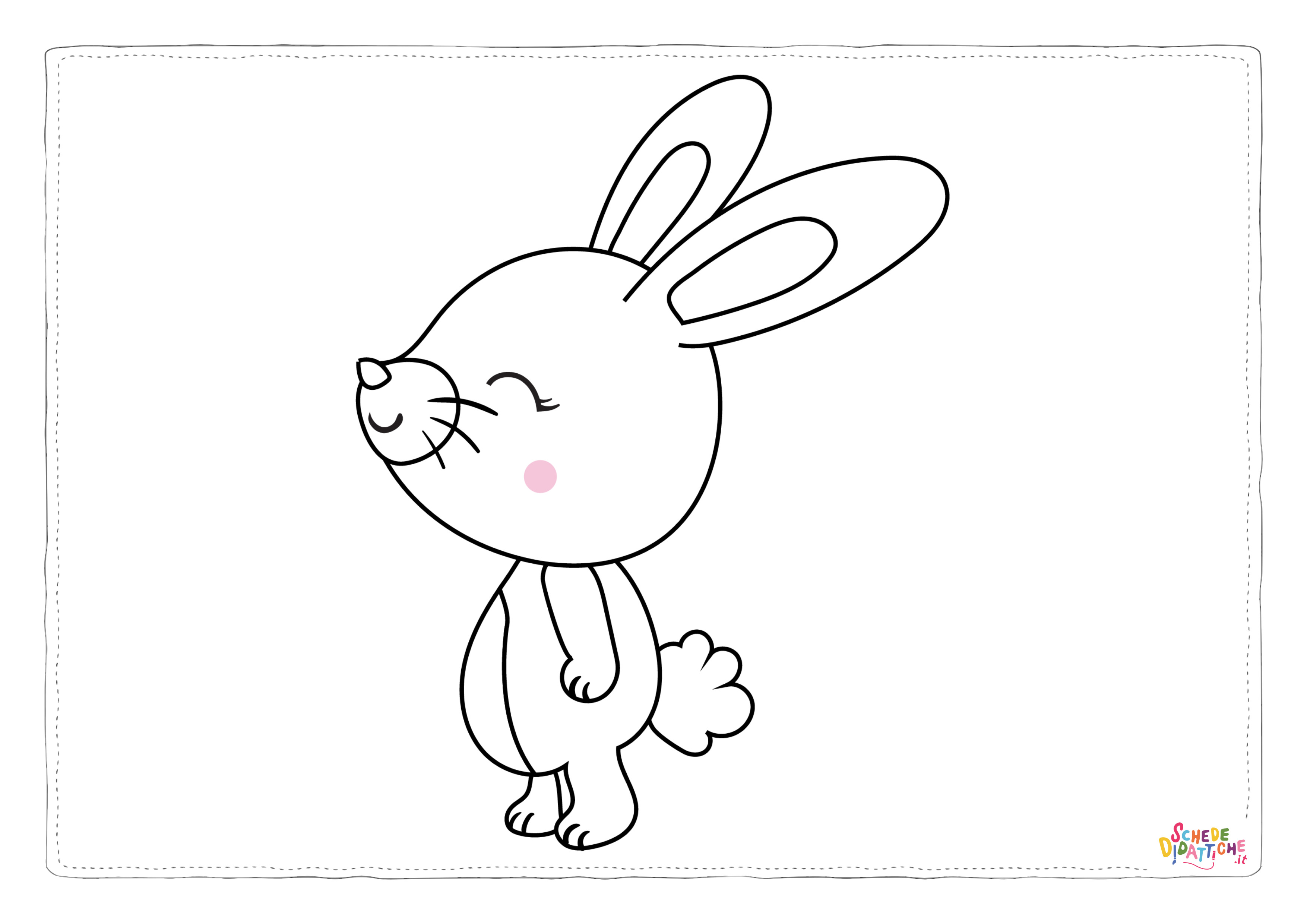 BUNNY-05