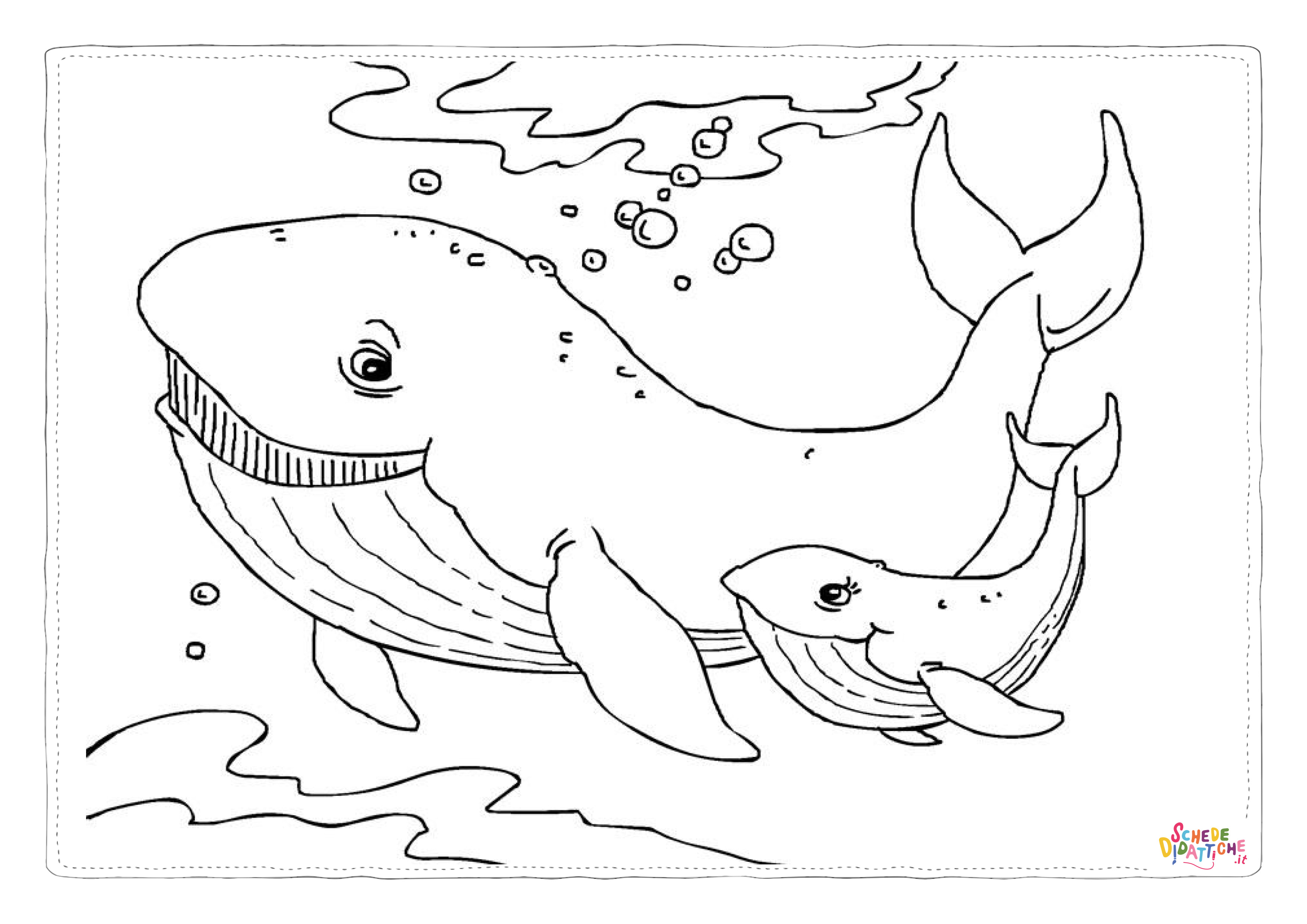 Disegno di balena da stampare e colorare 6