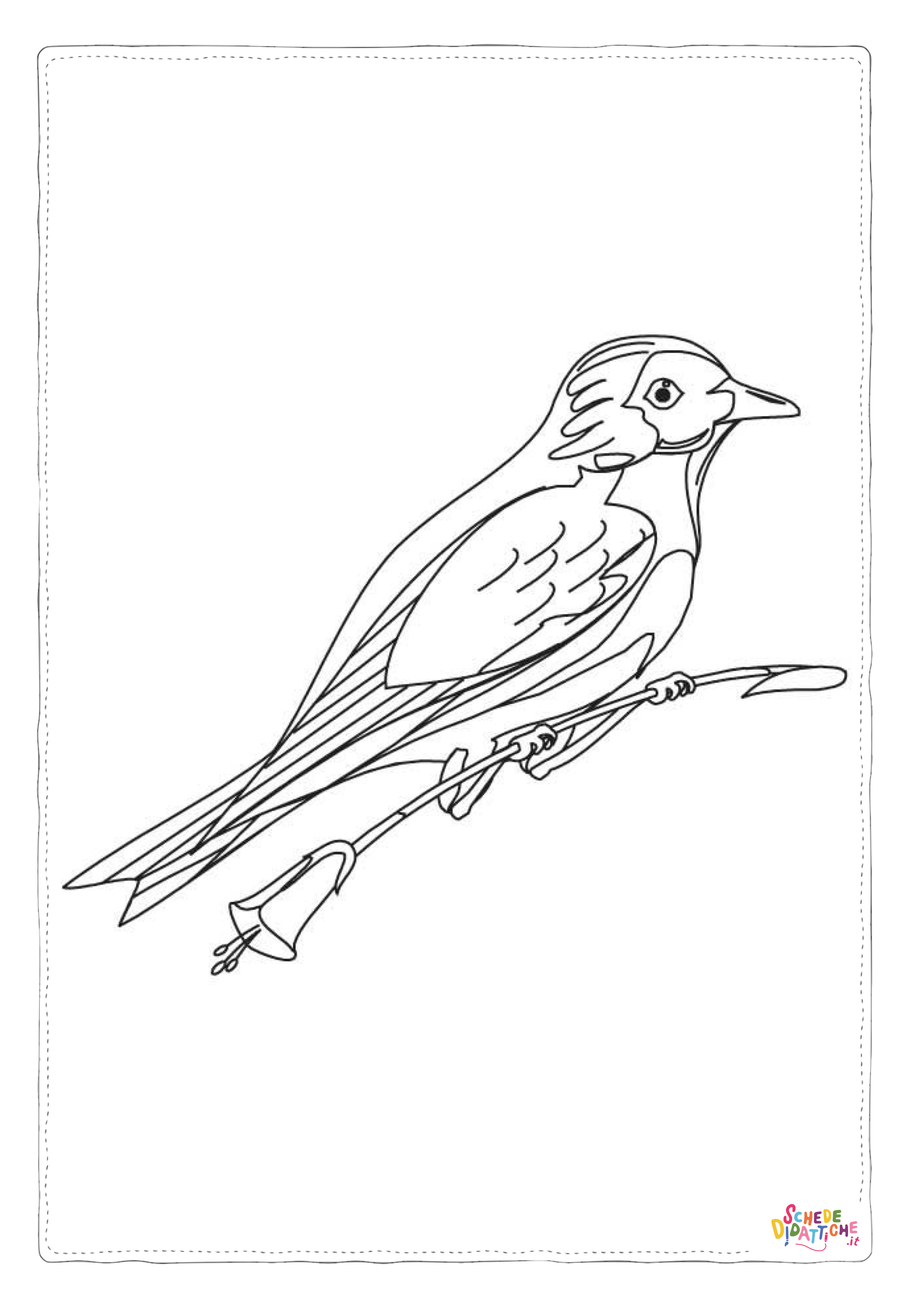 Disegno di uccello da stampare e colorare 42
