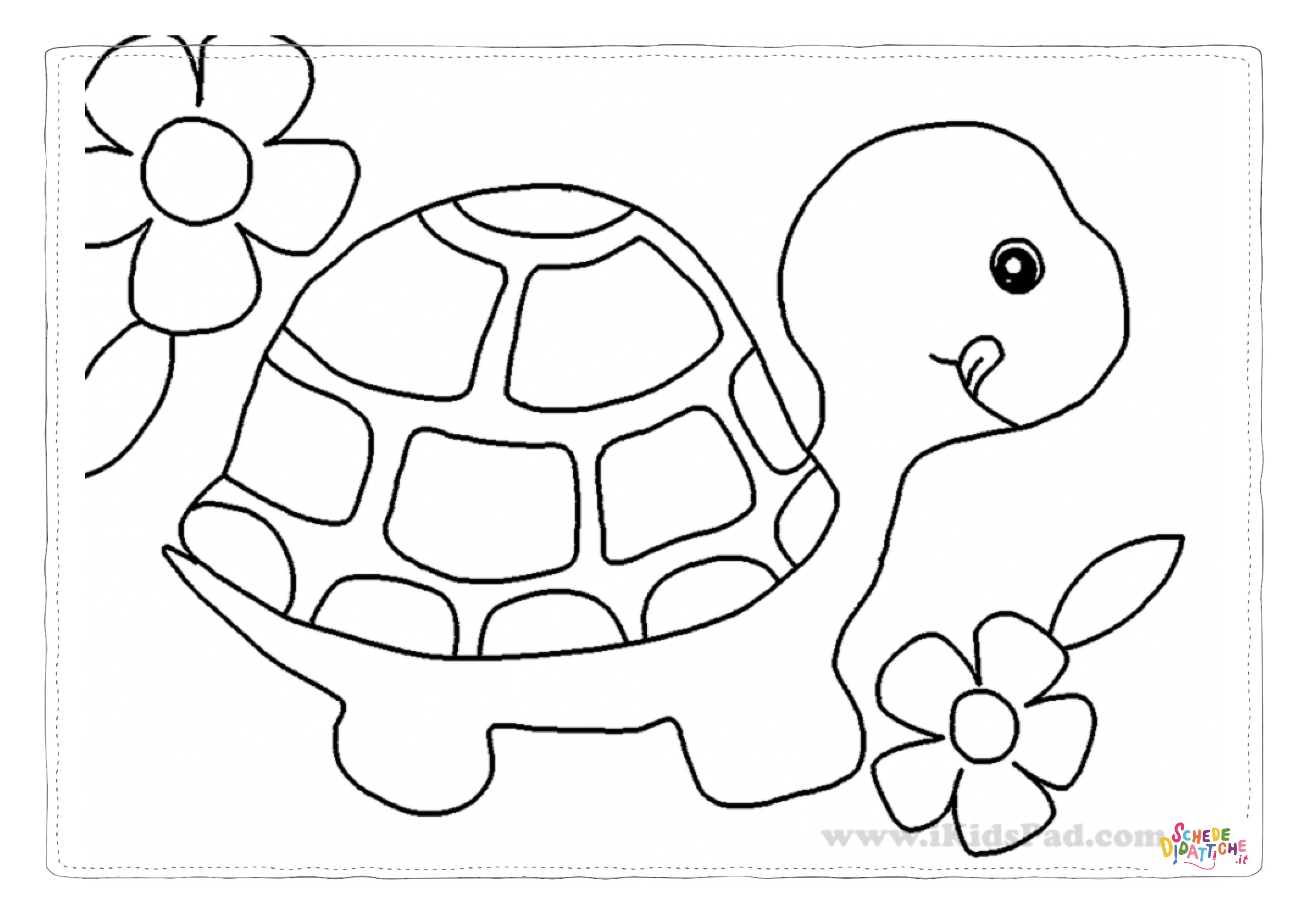 Disegno di tartaruga di terra da stampare e colorare 10